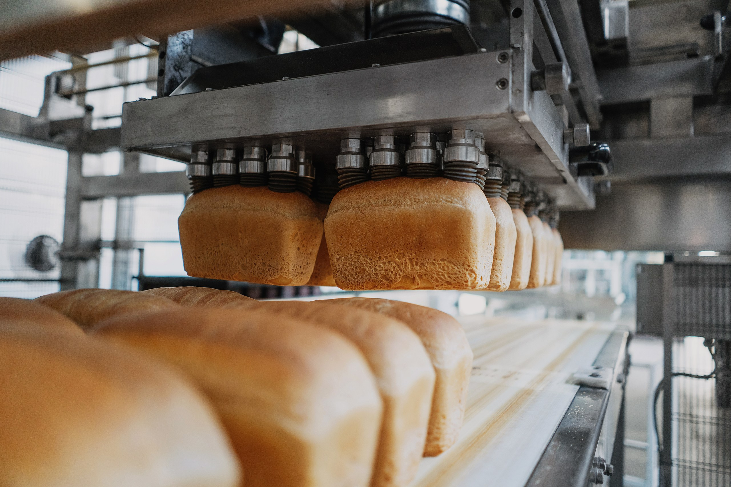 свежий хлеб на конвейере фото, фотосъёмка для производства