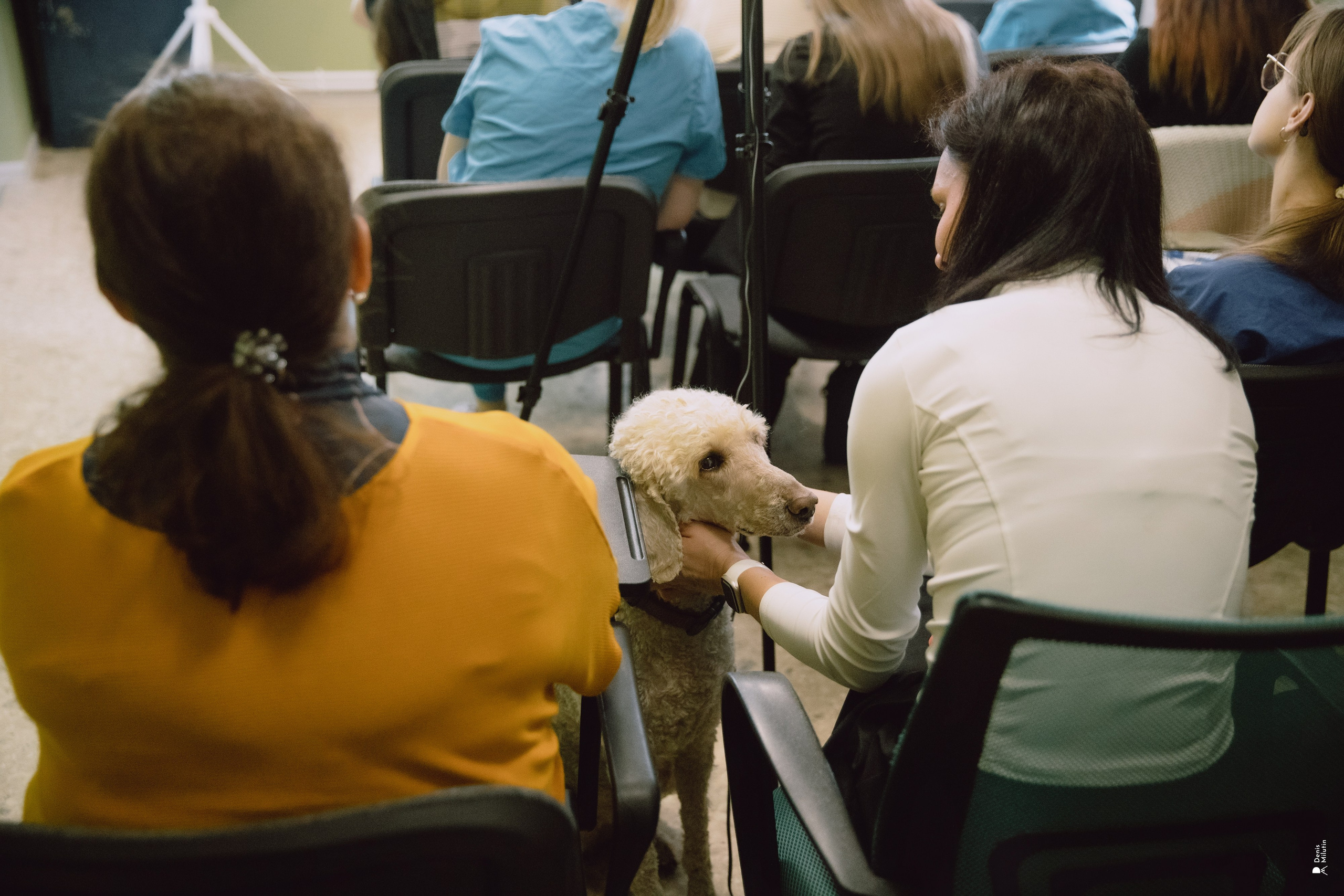 Приезд Марии. Портретный фотограф Денис Милютин