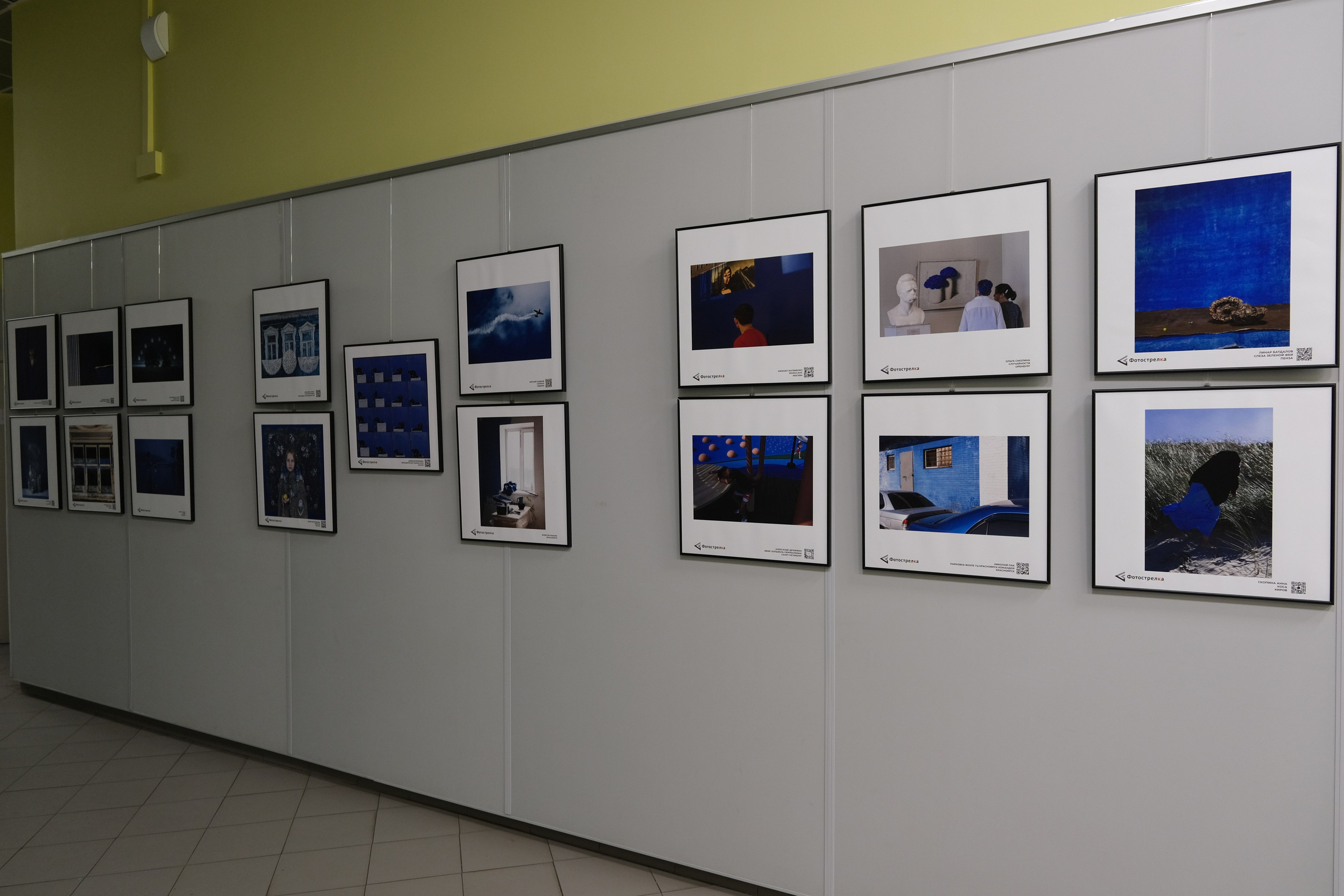 Синяя в Москве 05.07 — 20.08.25. Фотострелка