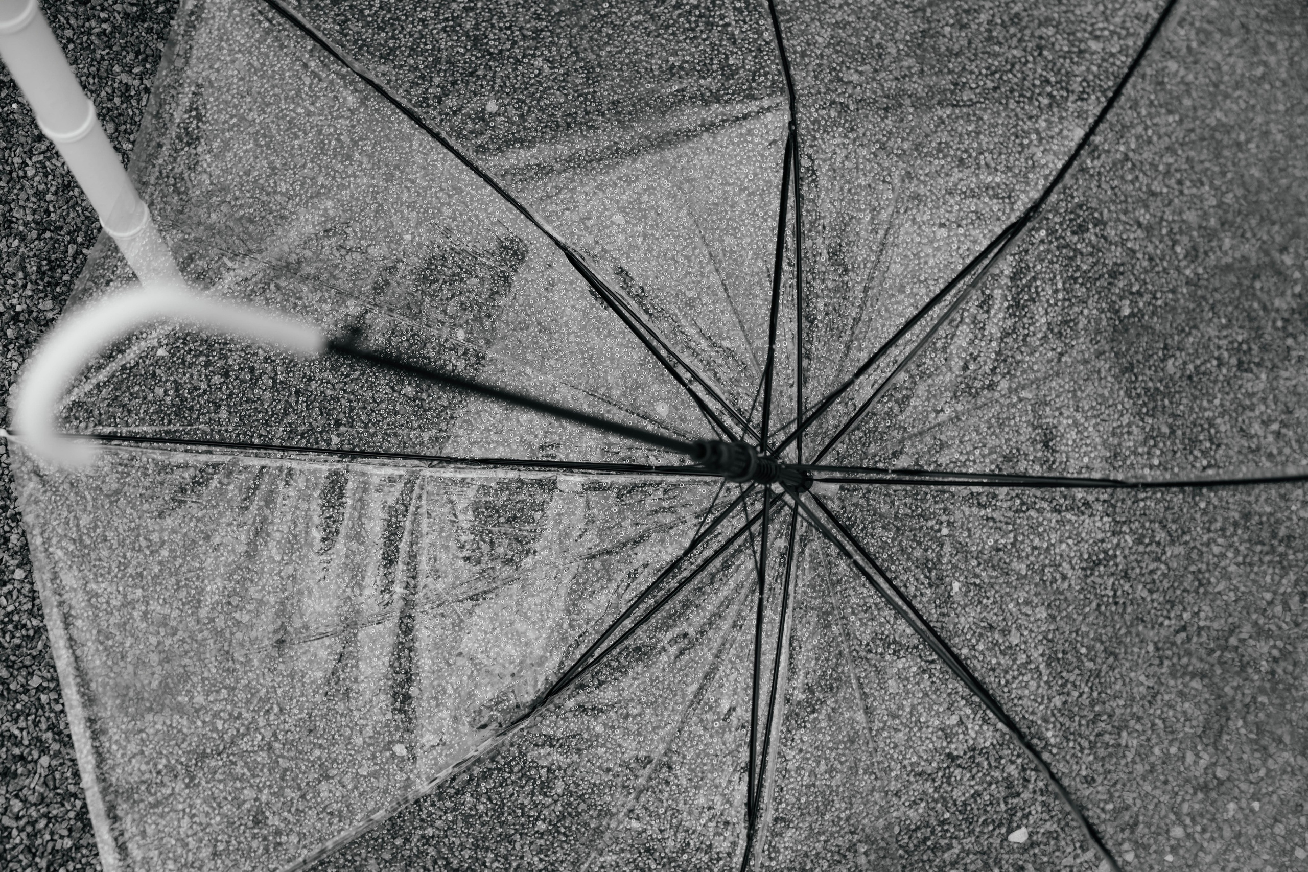 DANIEL & ANNA. Свадебное ФОТО & ВИДЕО Москва/Липецк