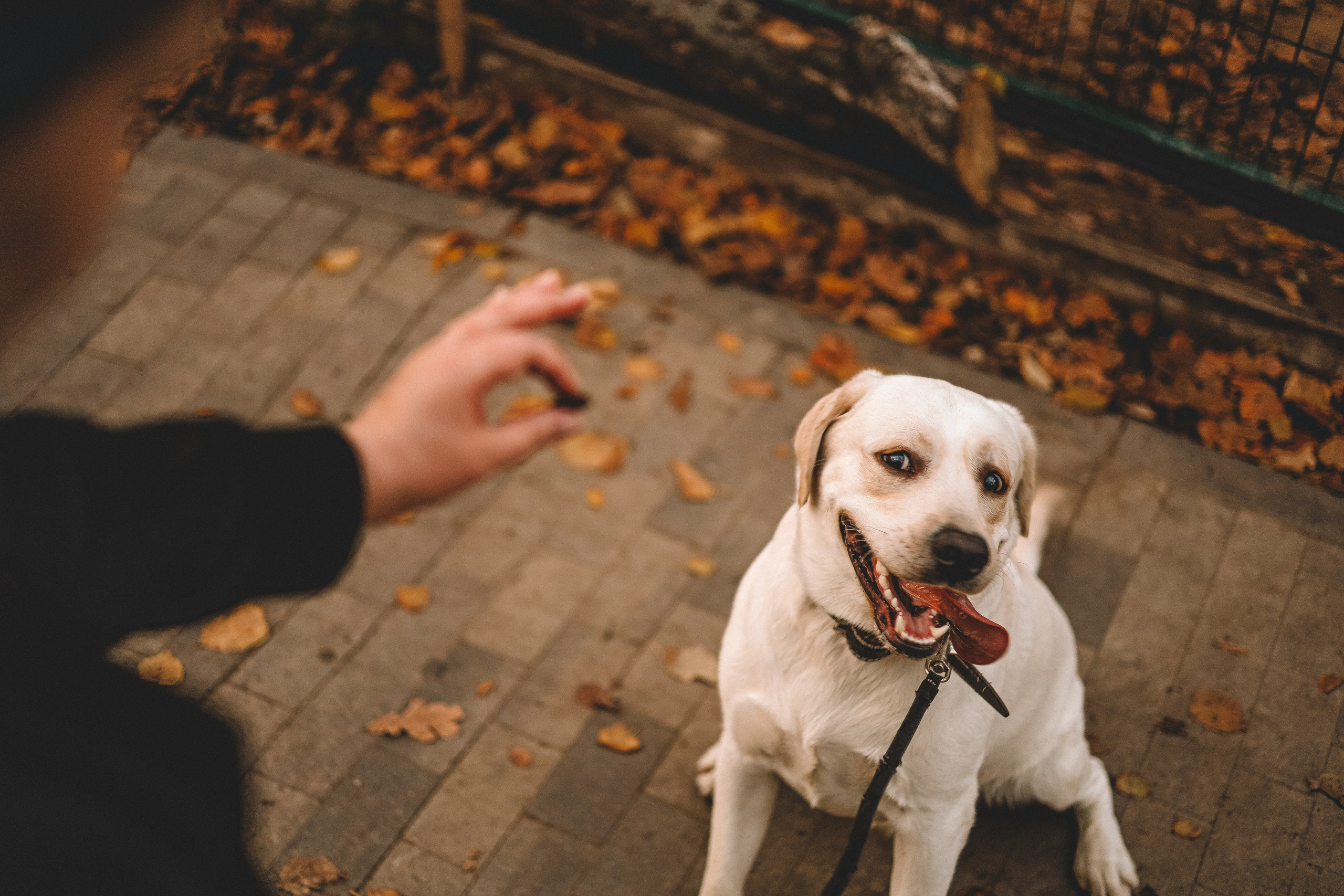 Фотопрогулки. Слава Лерина. Фотограф. Ростов-на-Дону