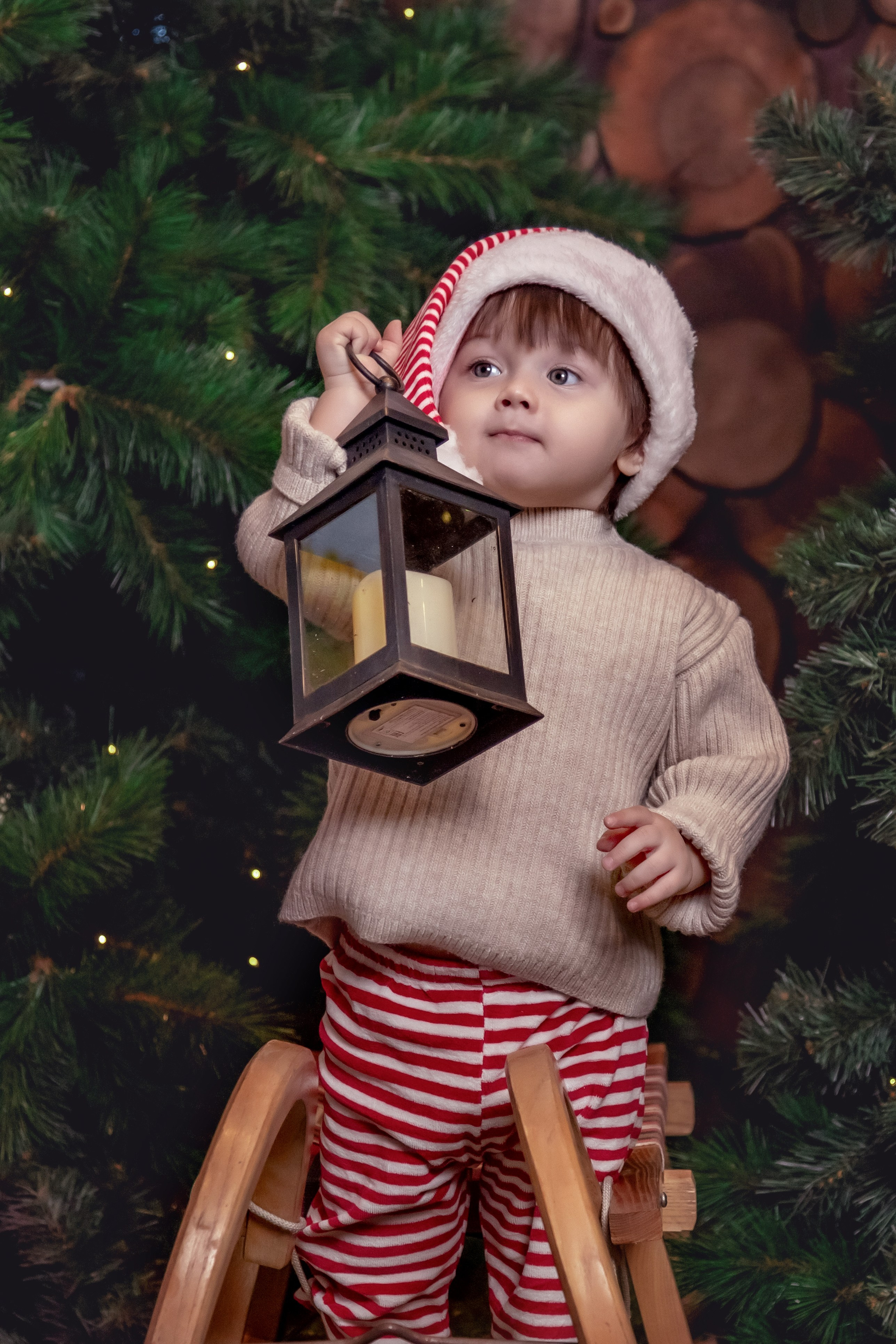 НОВЫЙ ГОД и Рождество в СТУДИЯХ. Фотограф Алина Лебедь