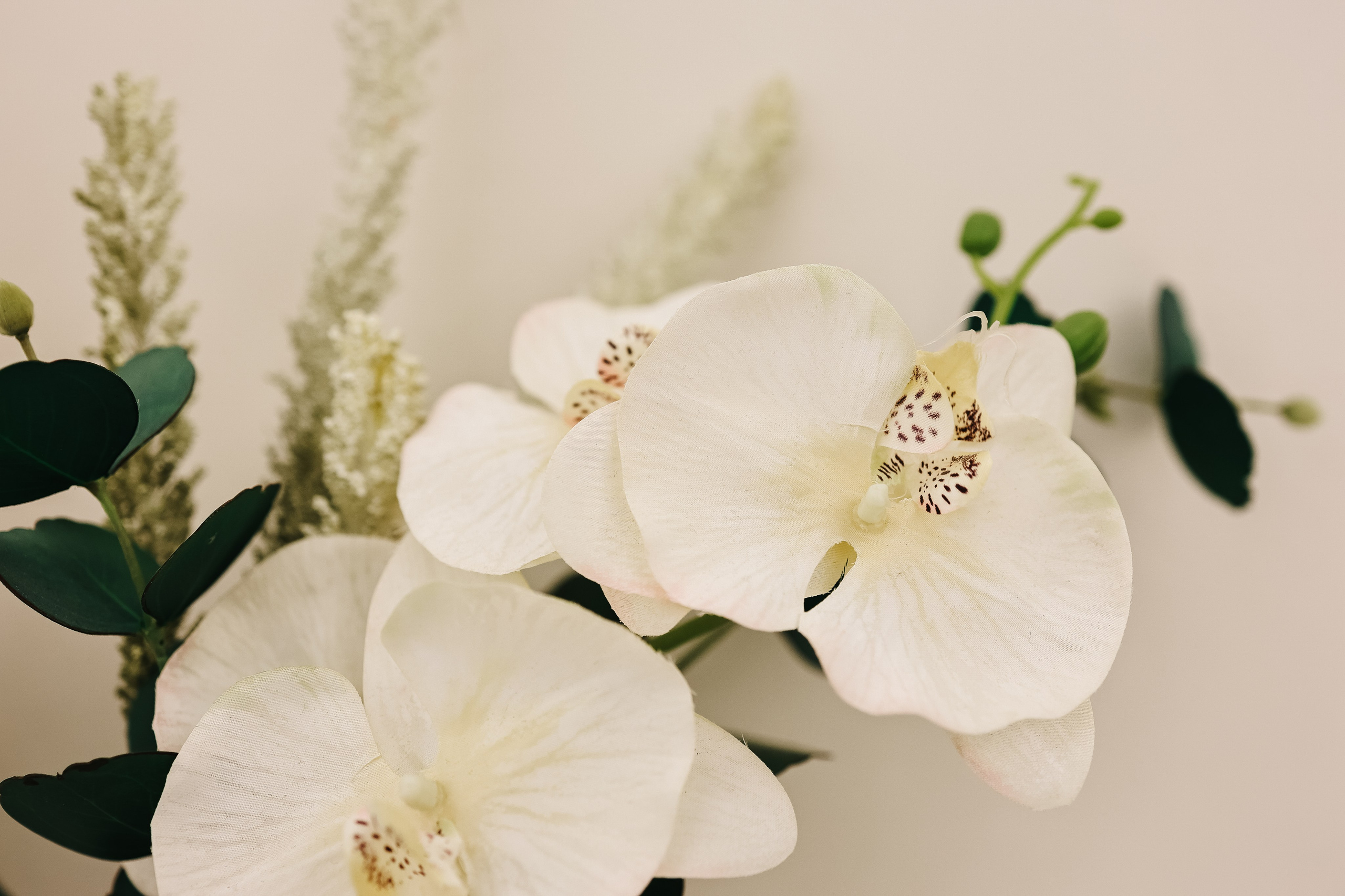 Александра и Денис. Свадебный и семейный фотограф в Воронеже Ксения Воротникова