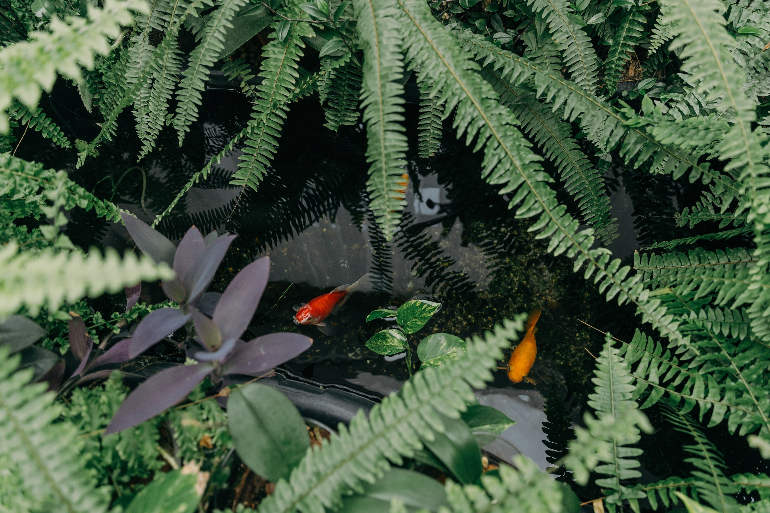 4 июля. Свадьба Миши и Лары. 12.07.2024