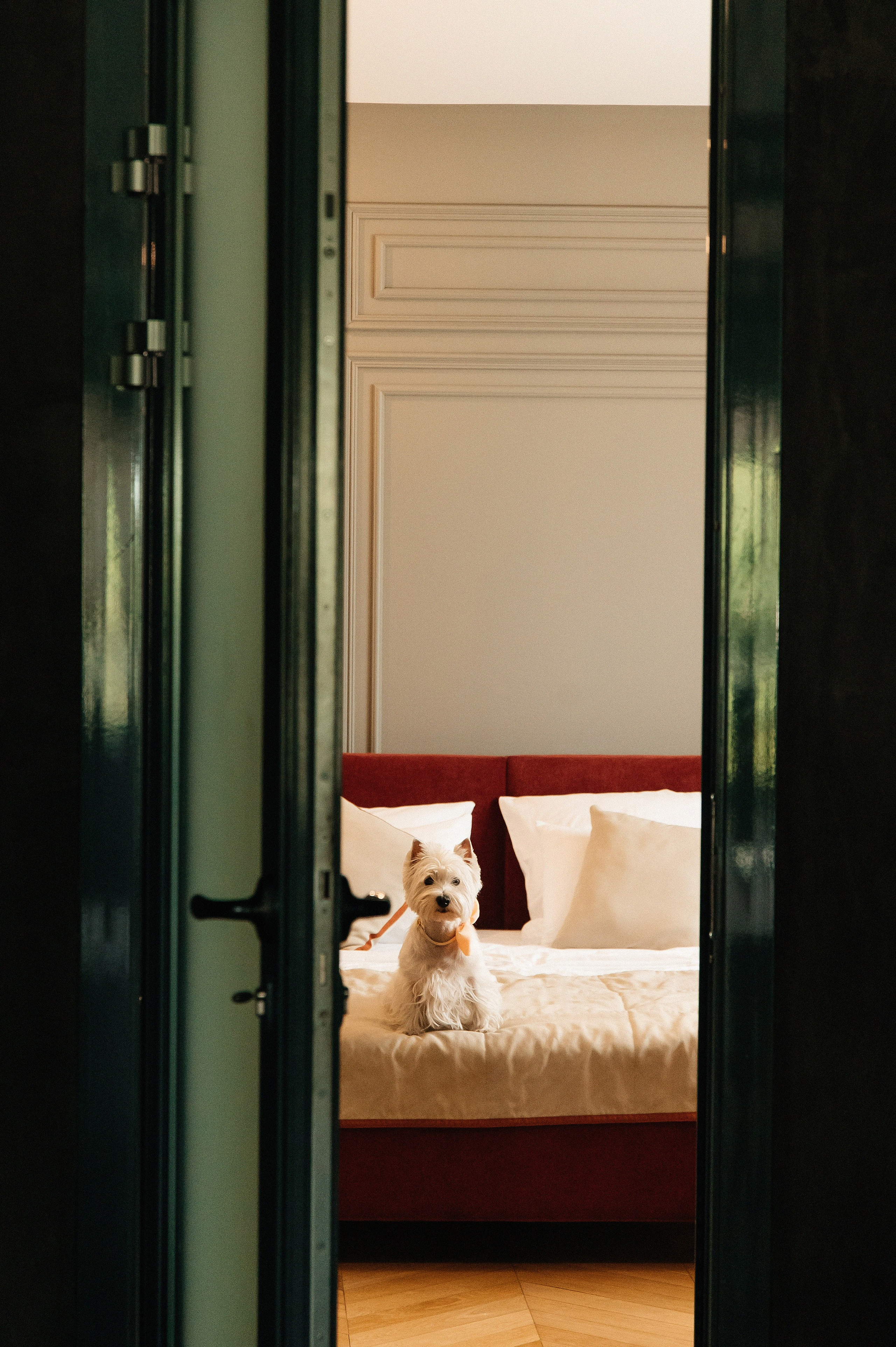 WEDDING. Мария — Свадебный фотограф