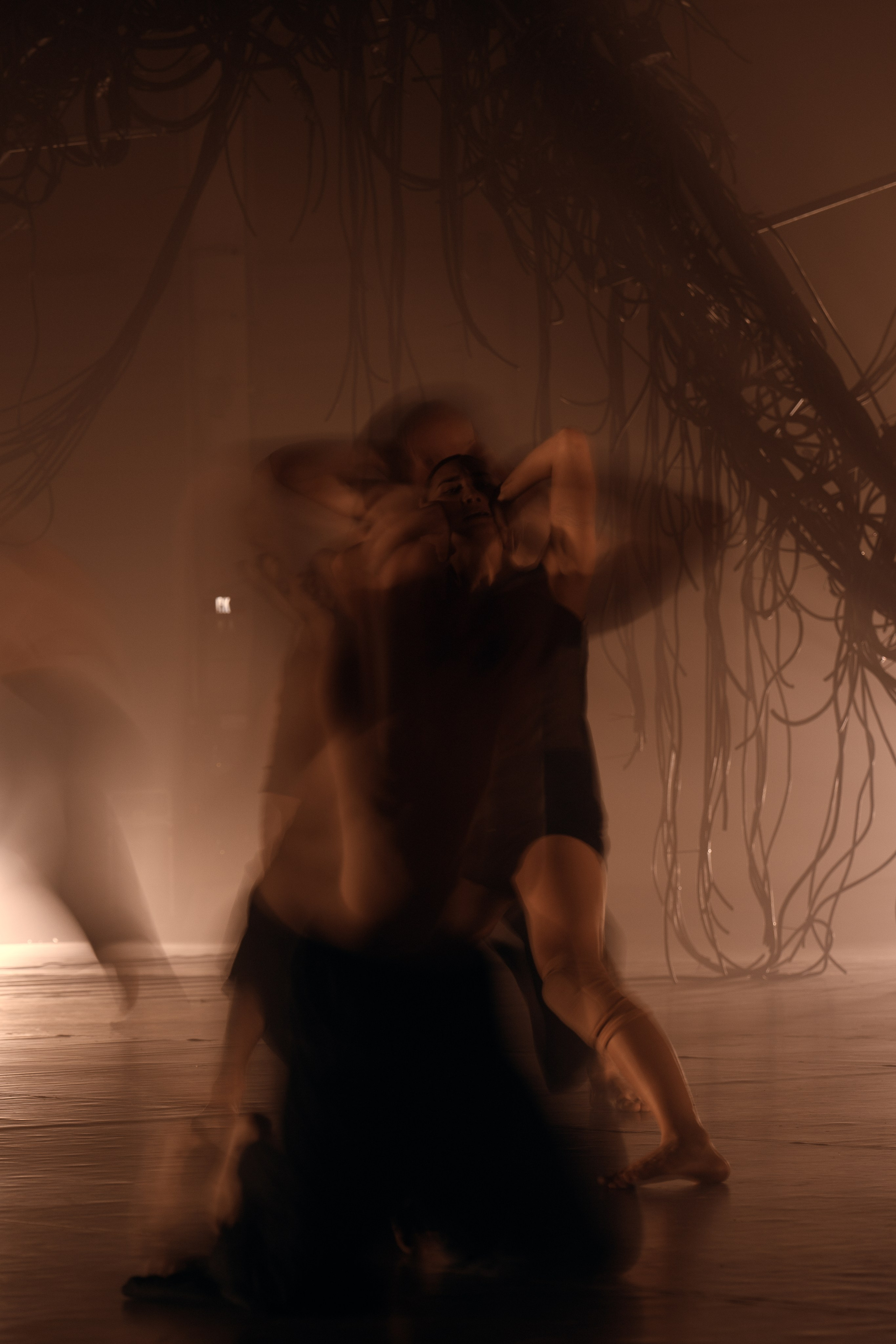 PERFORMA, The Hour of the Horse. @tomrus: Рустам Шагиморданов — фотограф