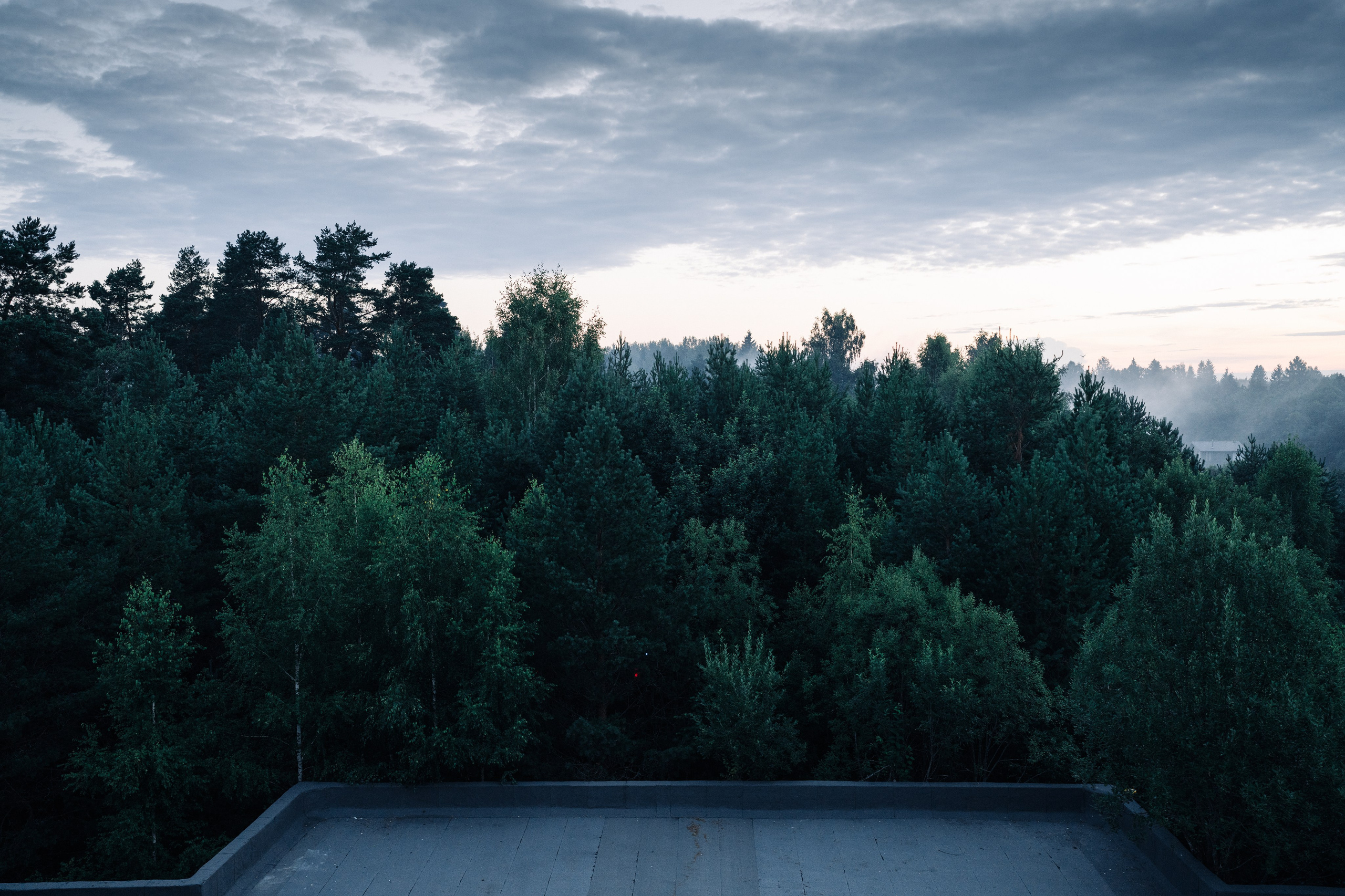 Outline 2024. @tomrus: Рустам Шагиморданов — фотограф