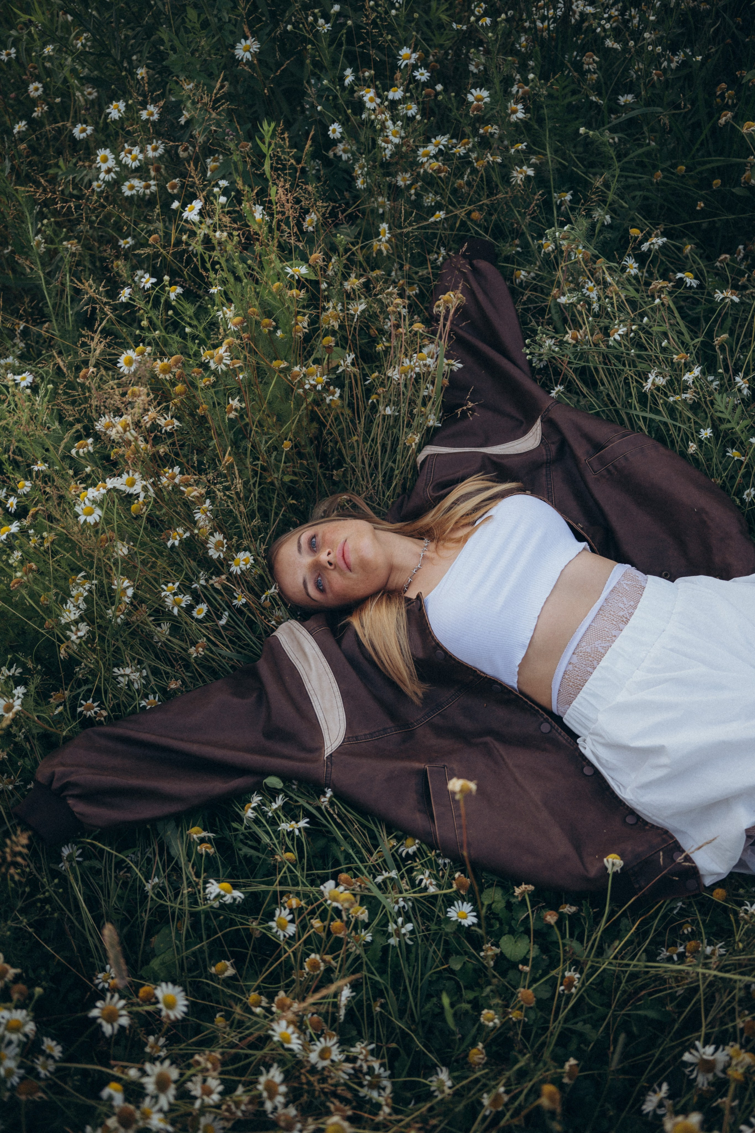 Ромашки. Фотограф Москва