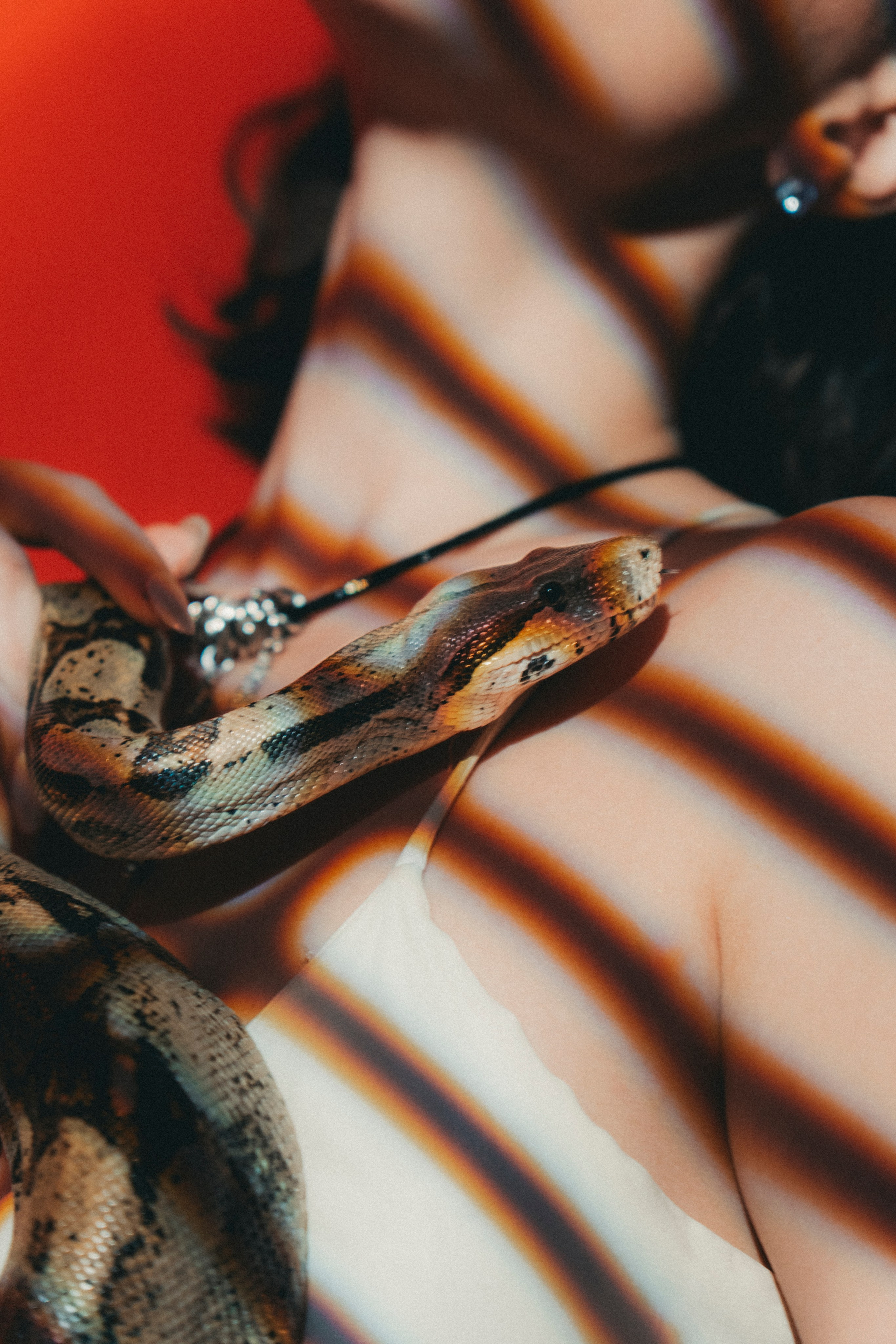 2025. Андрей Попов | Фотограф Волгоград| Druny_photo