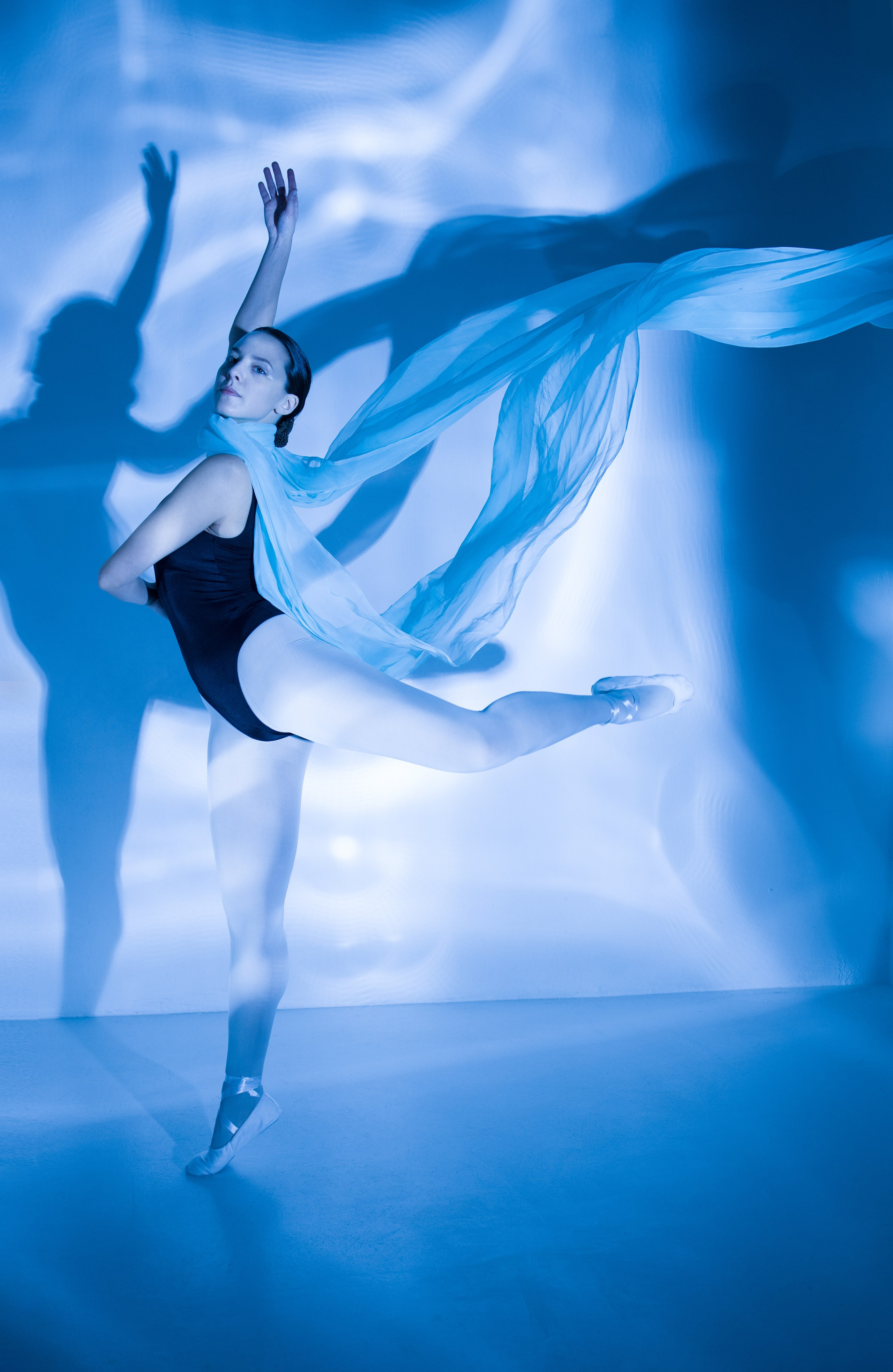 Лилия. Художественная фотография