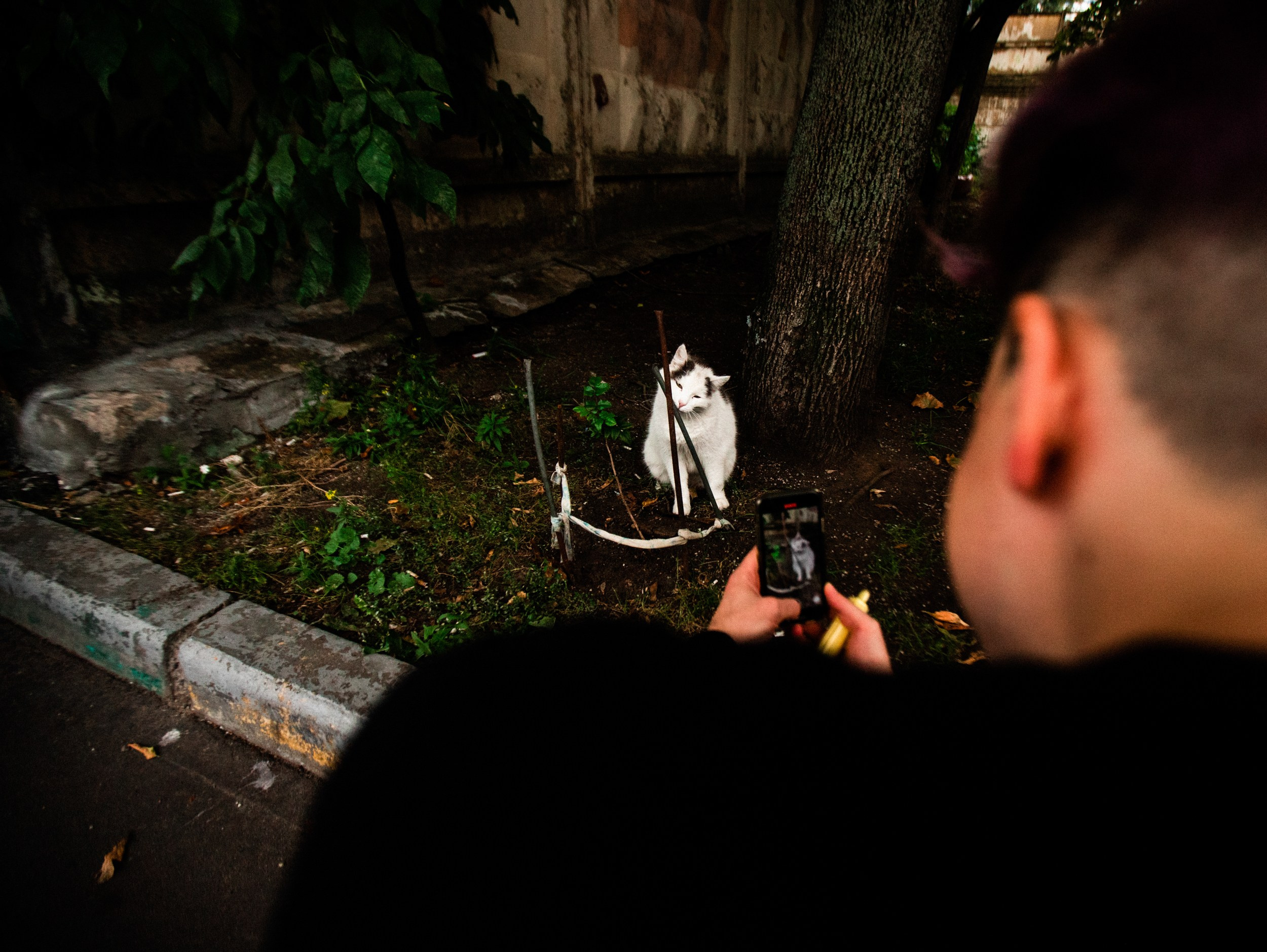 Роад трип TRNA СПБ-Москва 2021. Фотограф Мария Немм