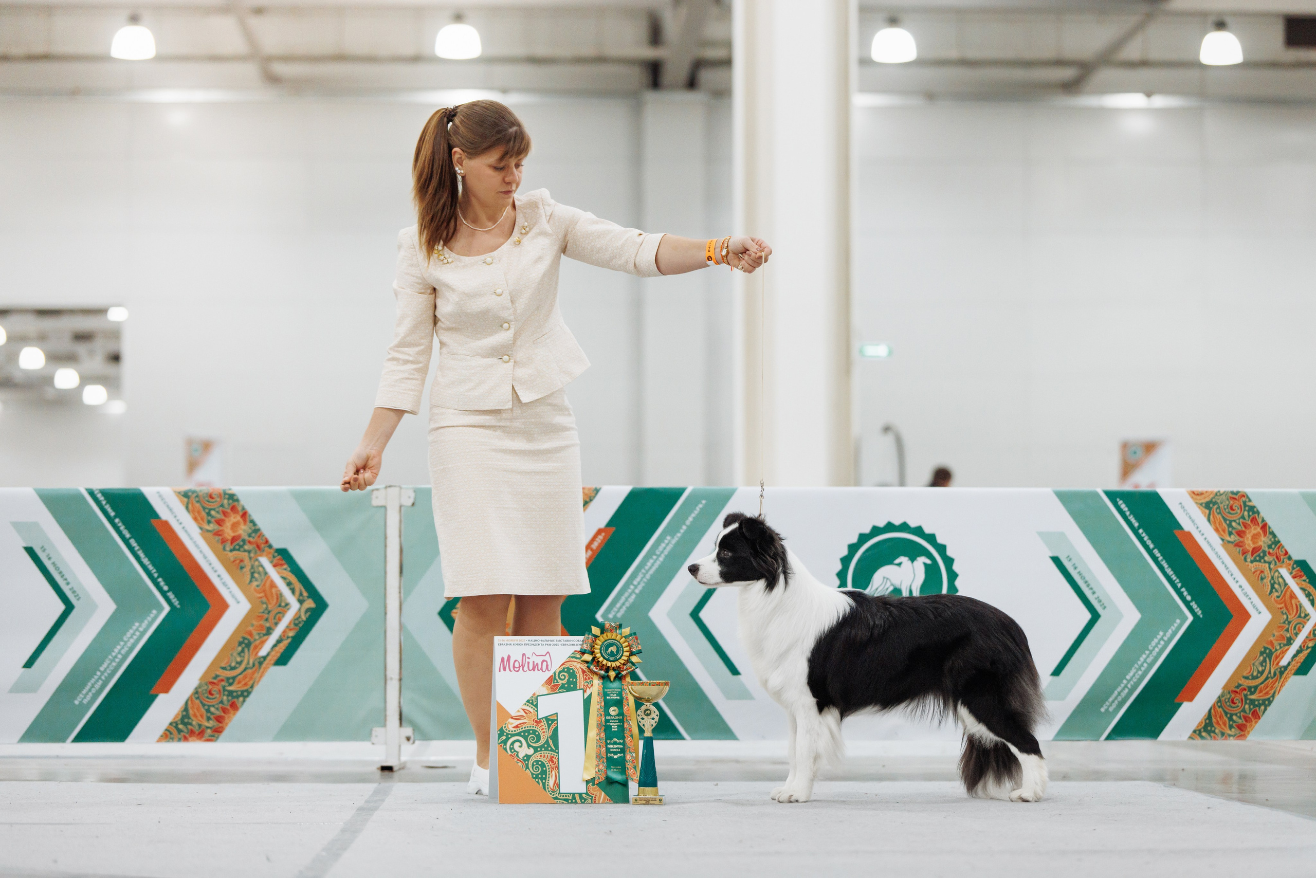 Евразия 25. О нас