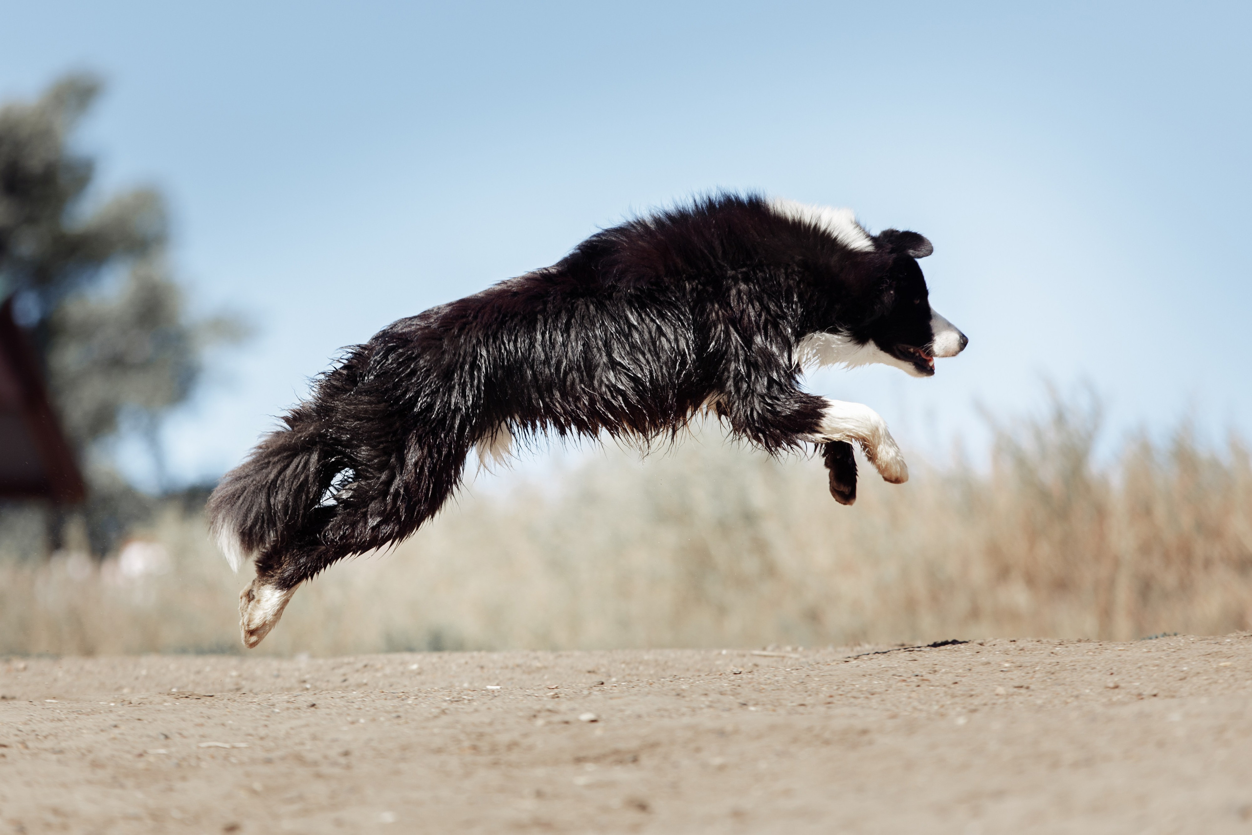 Водяные в Новотроицке. О нас