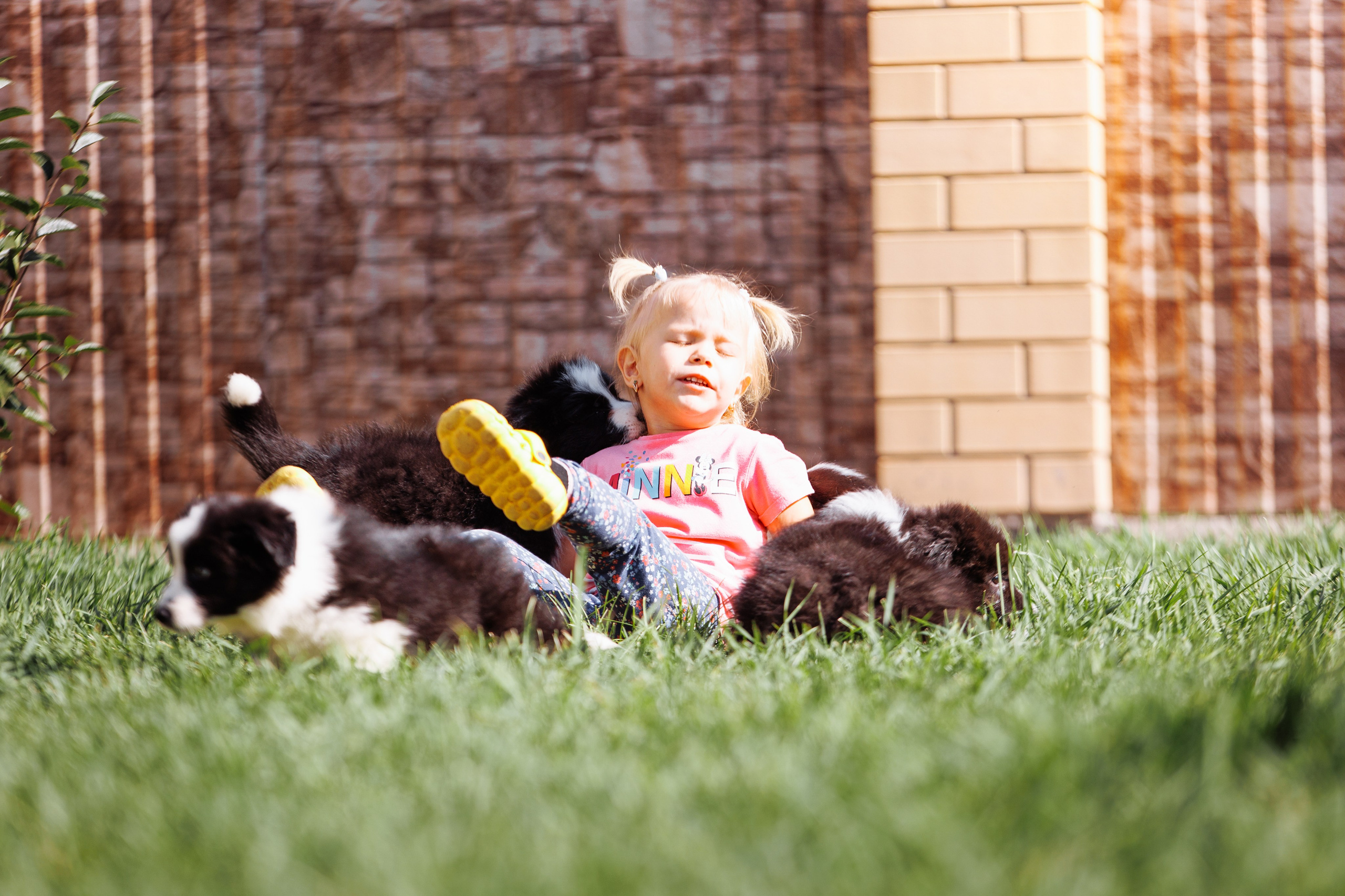 МММ — маленькое мягкое милое. О нас