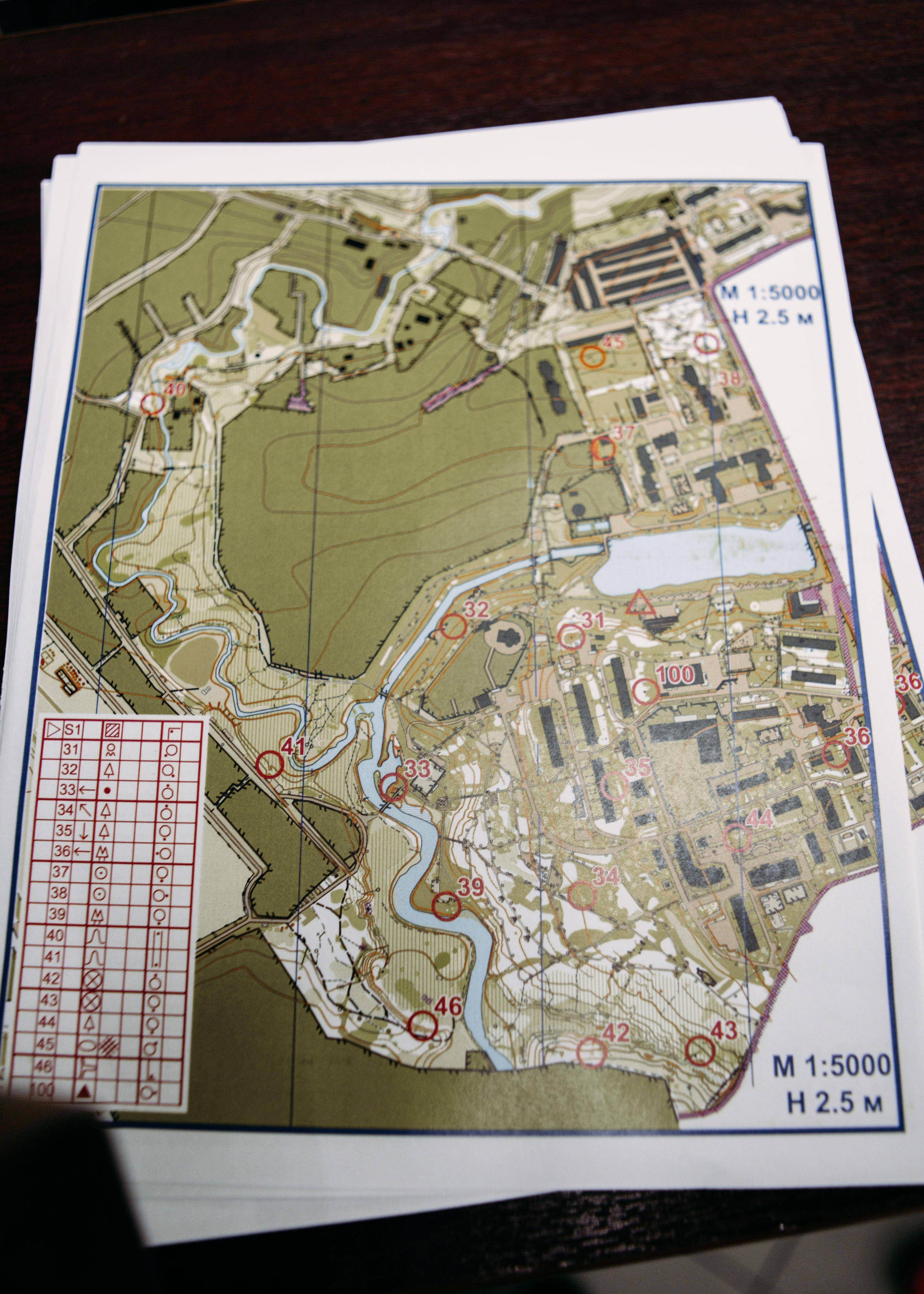 XIX фестиваль спортивного ориентирования «Воскресенская осень». Выпускные альбомы для школы и детского сада — школьный фотограф Подольск, Троицк, Щербинка, Москва