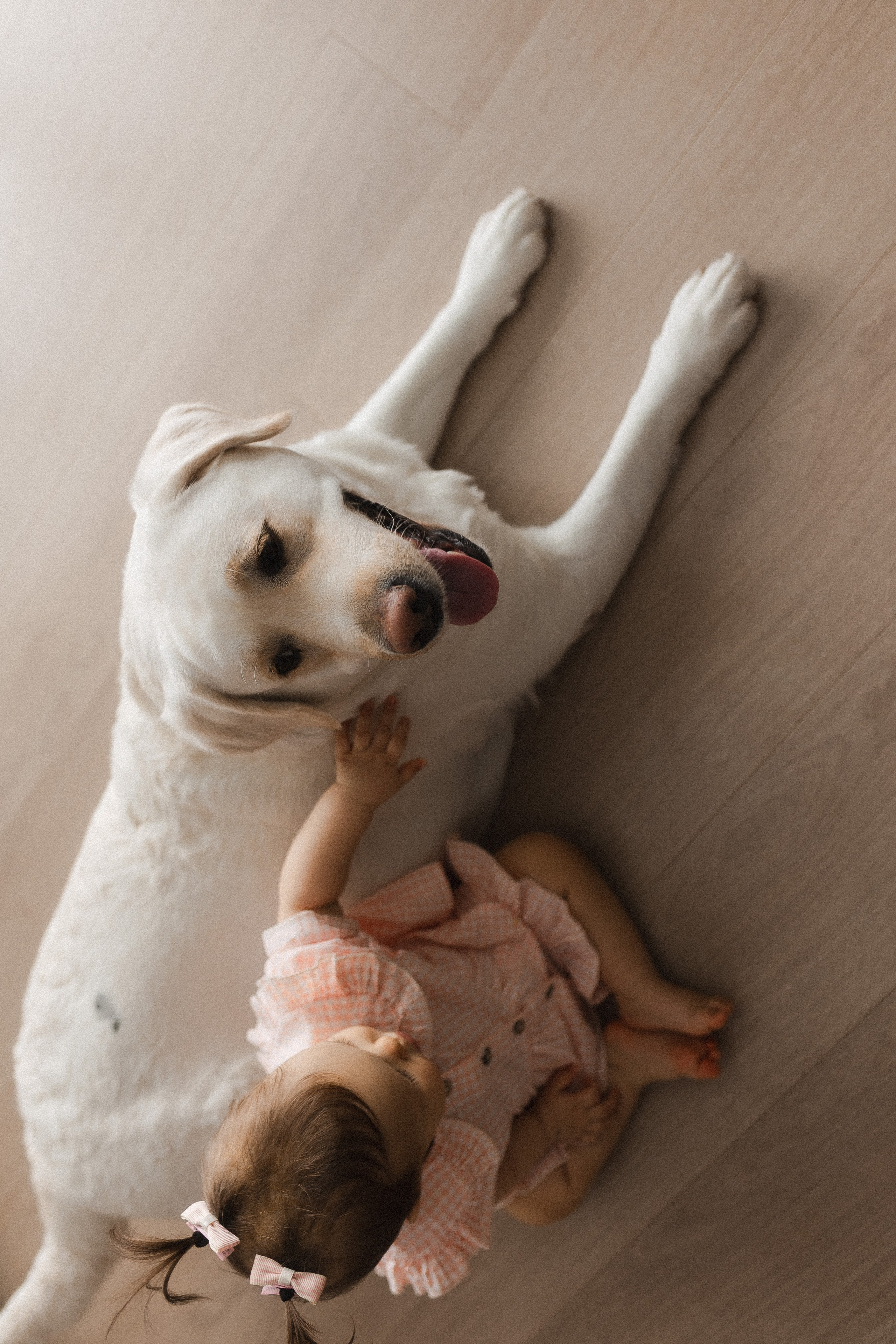 Миле 1 годик. Семейный фотограф в Нижнем Новгороде Доронина Юлия