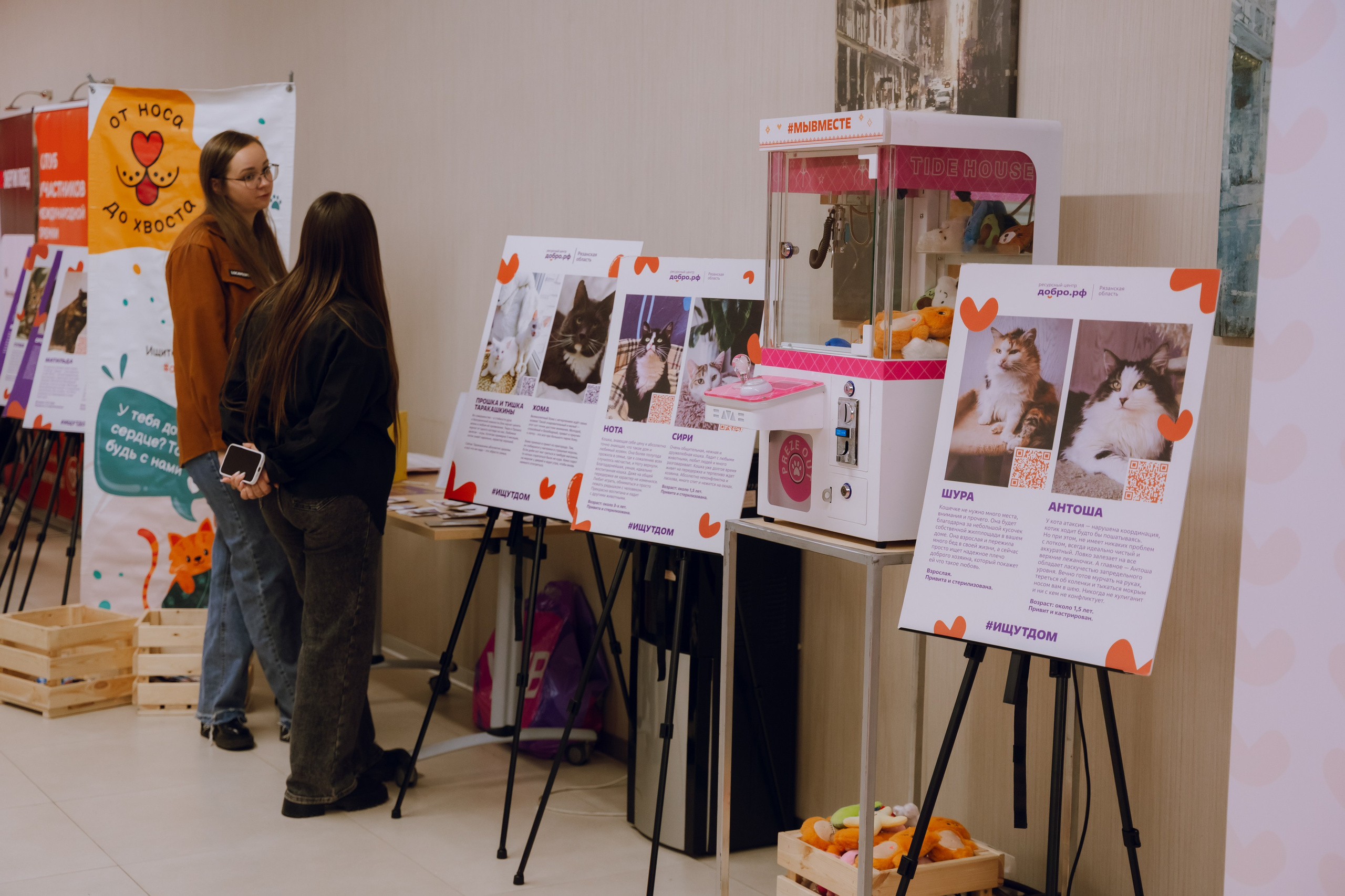 IX Форум добровольчества РО 2025. Фотограф Надежда Погребняк | Рязань | Москва