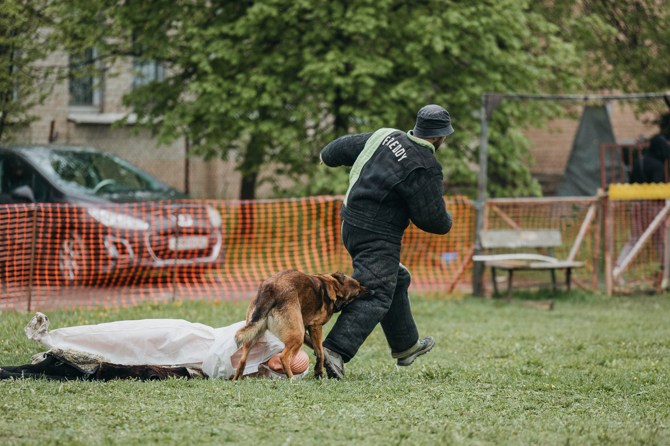 26.05.25 г. Пушкин квалификационные соревнования. Фотограф-анималист Анна Маринич