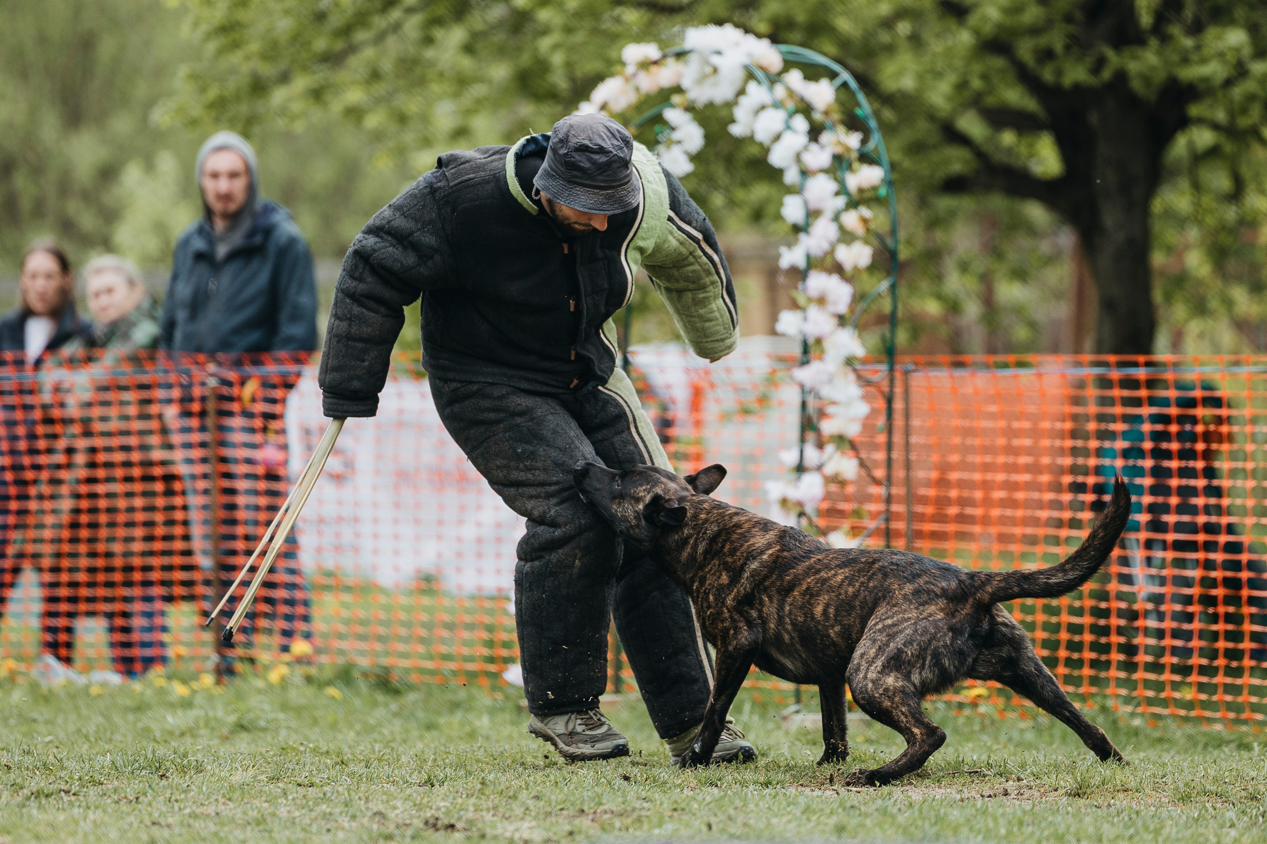 26.05.25 г. Пушкин квалификационные соревнования. Фотограф-анималист Анна Маринич
