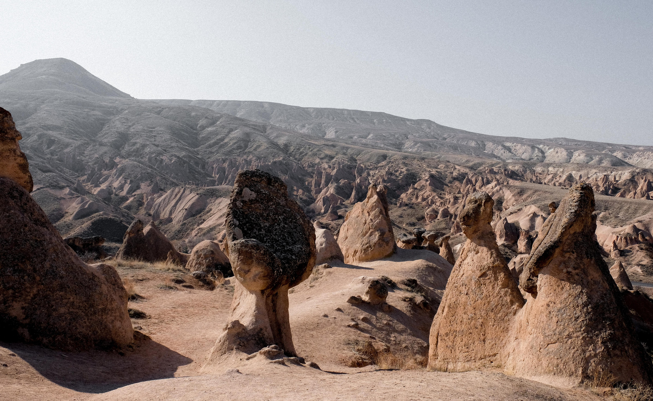 Art portfolio. AleSeeva