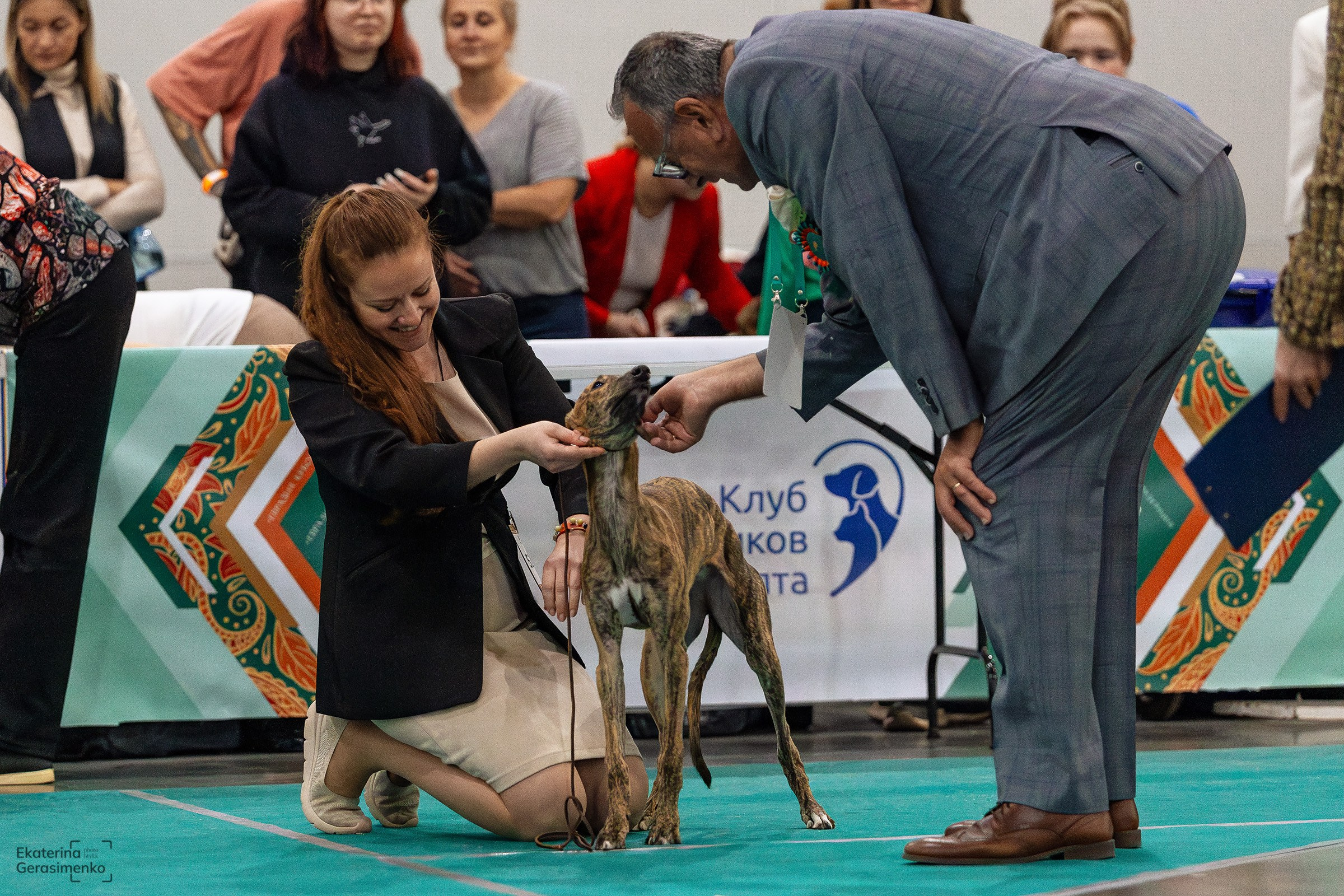 16–17 ноября 2024, Выставка ЕВРАЗИЯ, г. Москва. Htykk_photo
