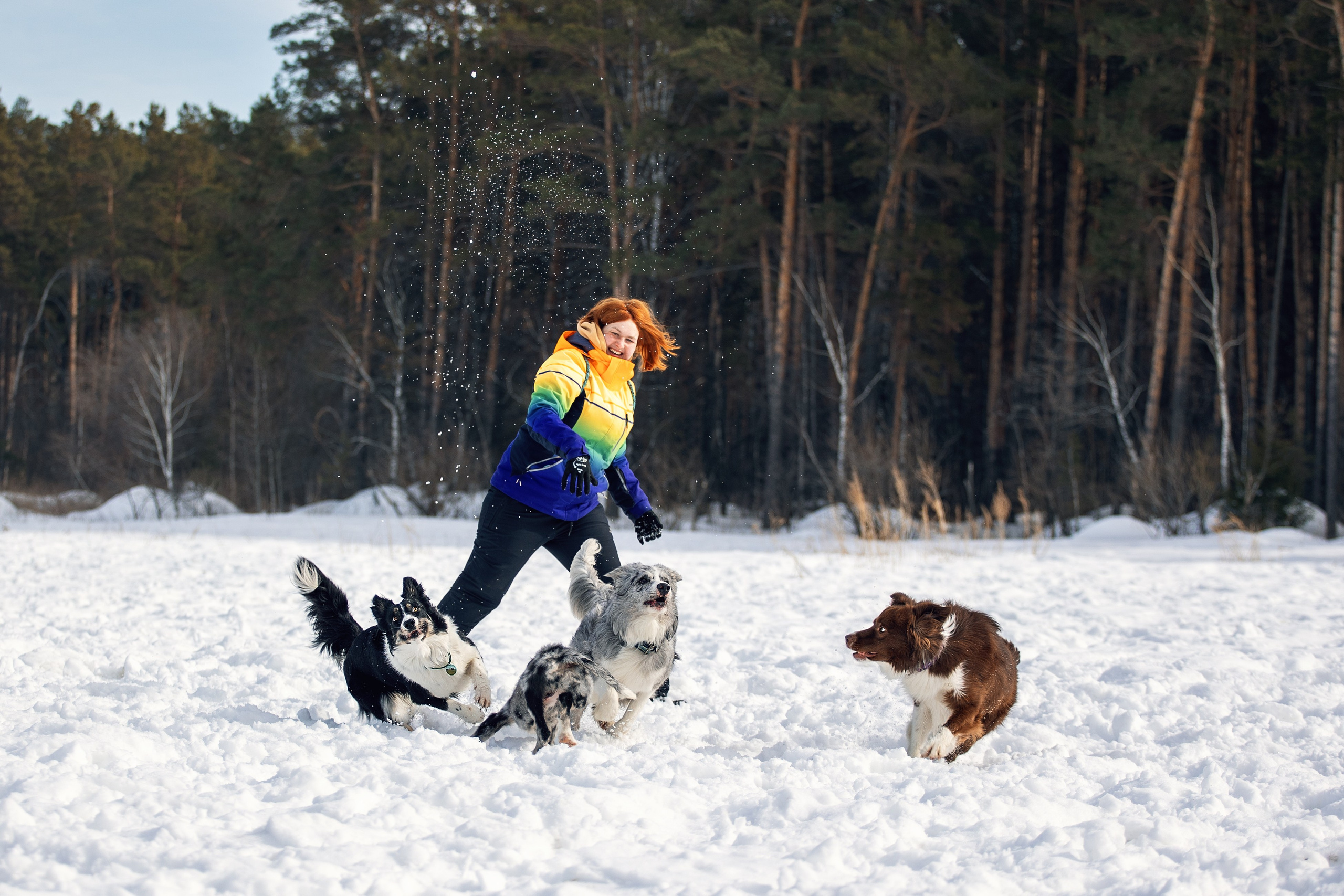 В погоне за снежком…. YULA KOLESOVA | Фотограф — Анималист | Художник | Тюмень