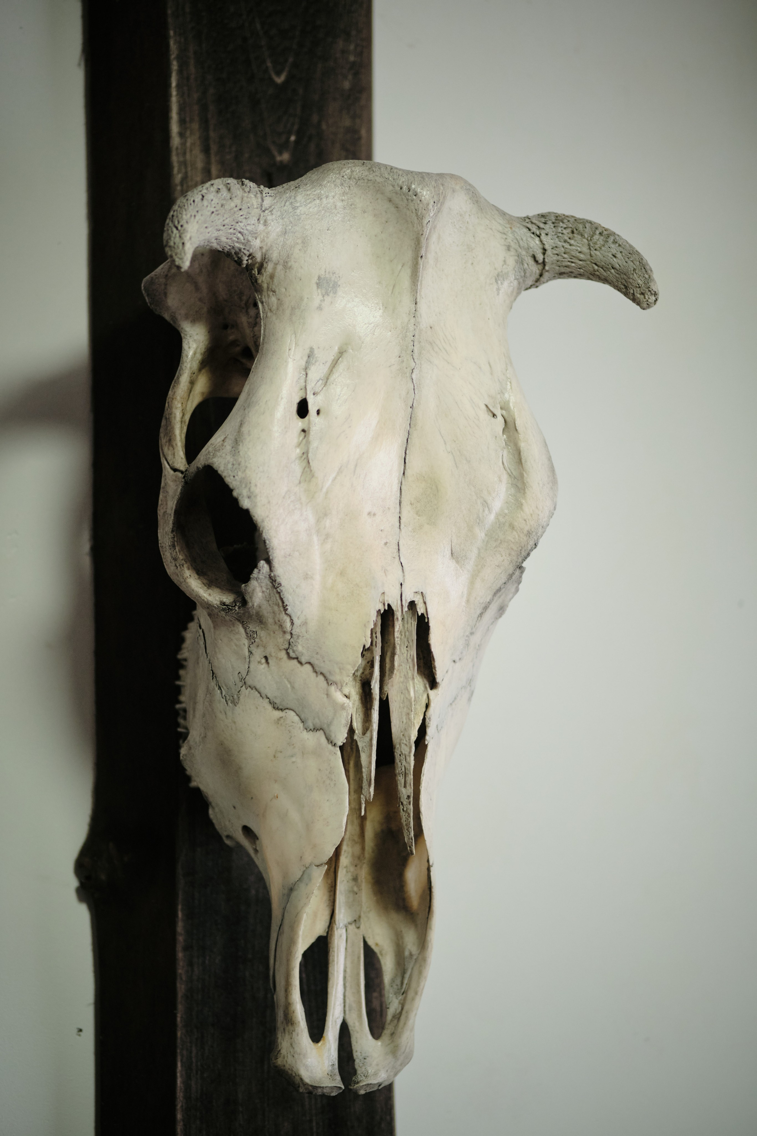 Цветочная 12. Свадебный и семейный фотограф в Новокузнецке Иван Иванов