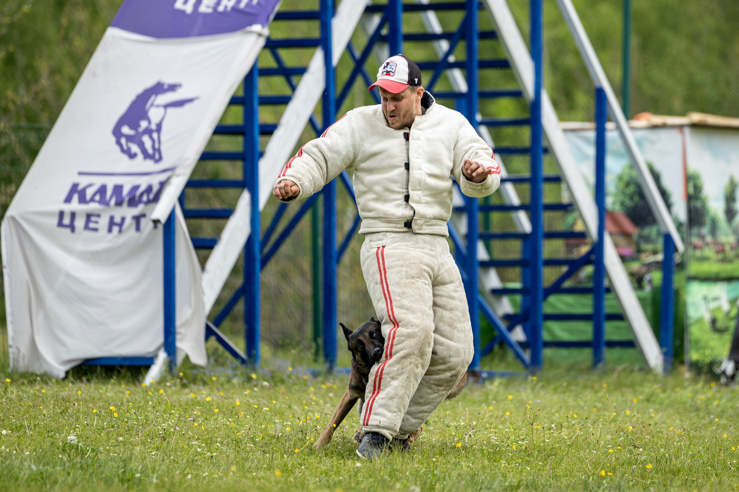 Испытания по мондьорингу в Нижнем Новгороде. Фотограф-анималист Анна Маринич