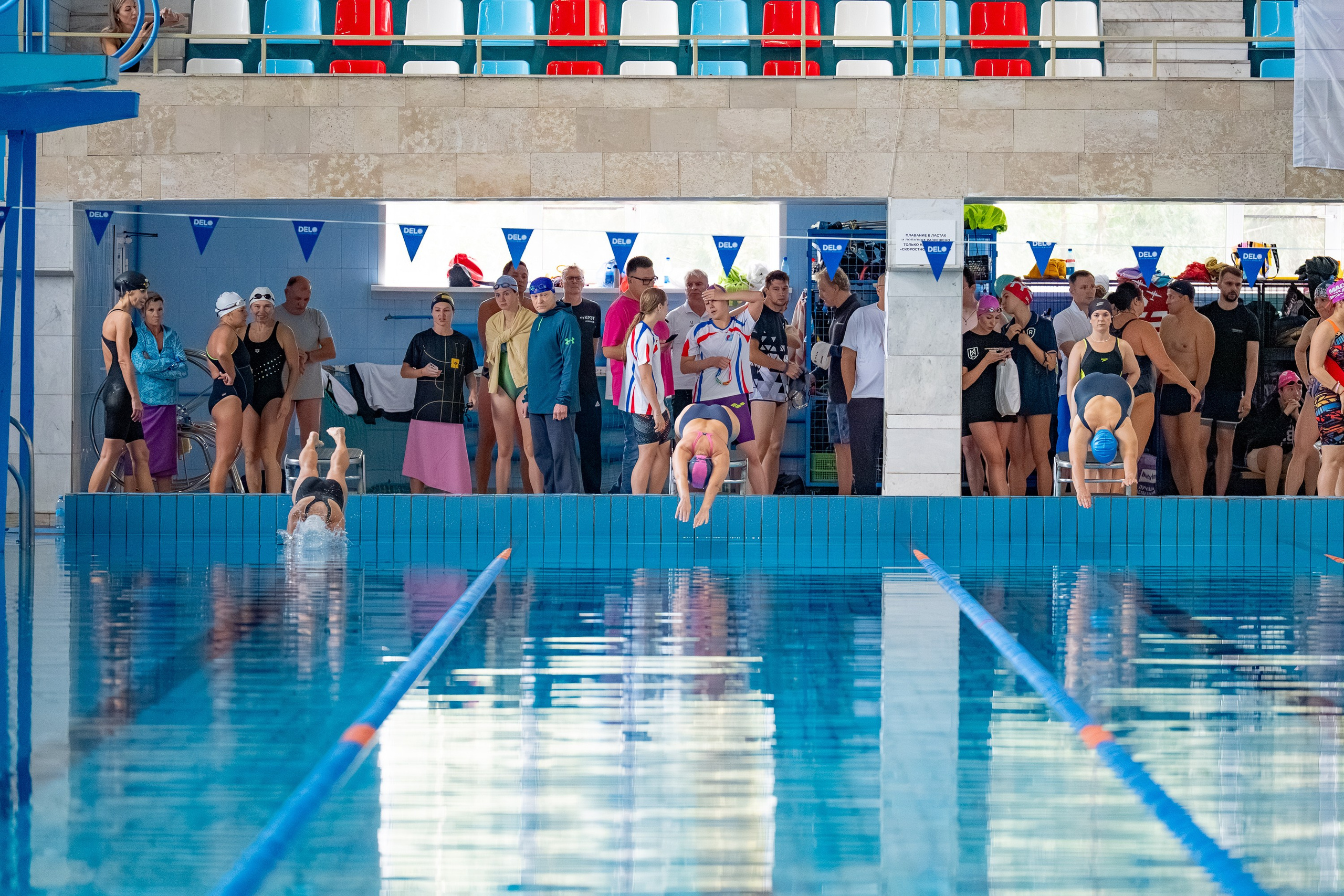 АРКС 2025 Плавание. Фотограф Киселев Егор