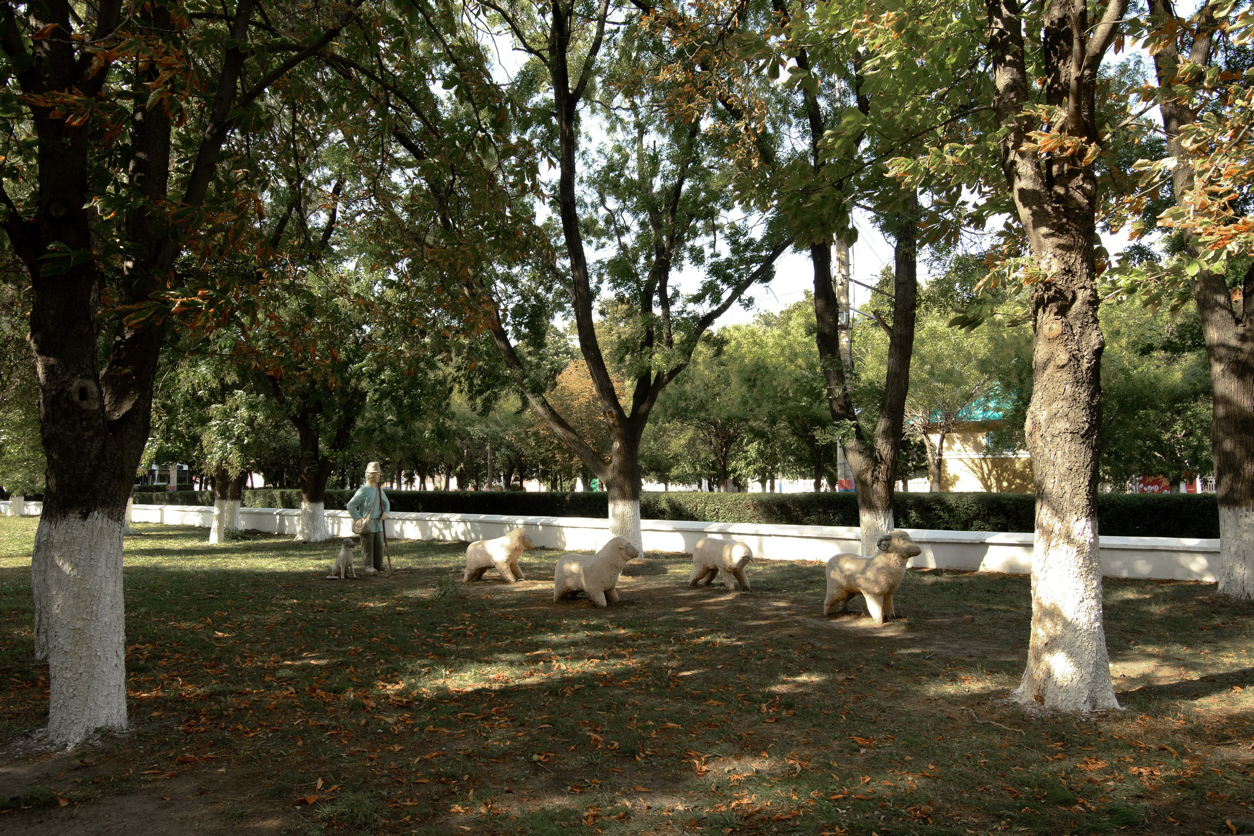 Армавир. Профессиональная фотосъемка. Ростов-на-Дону