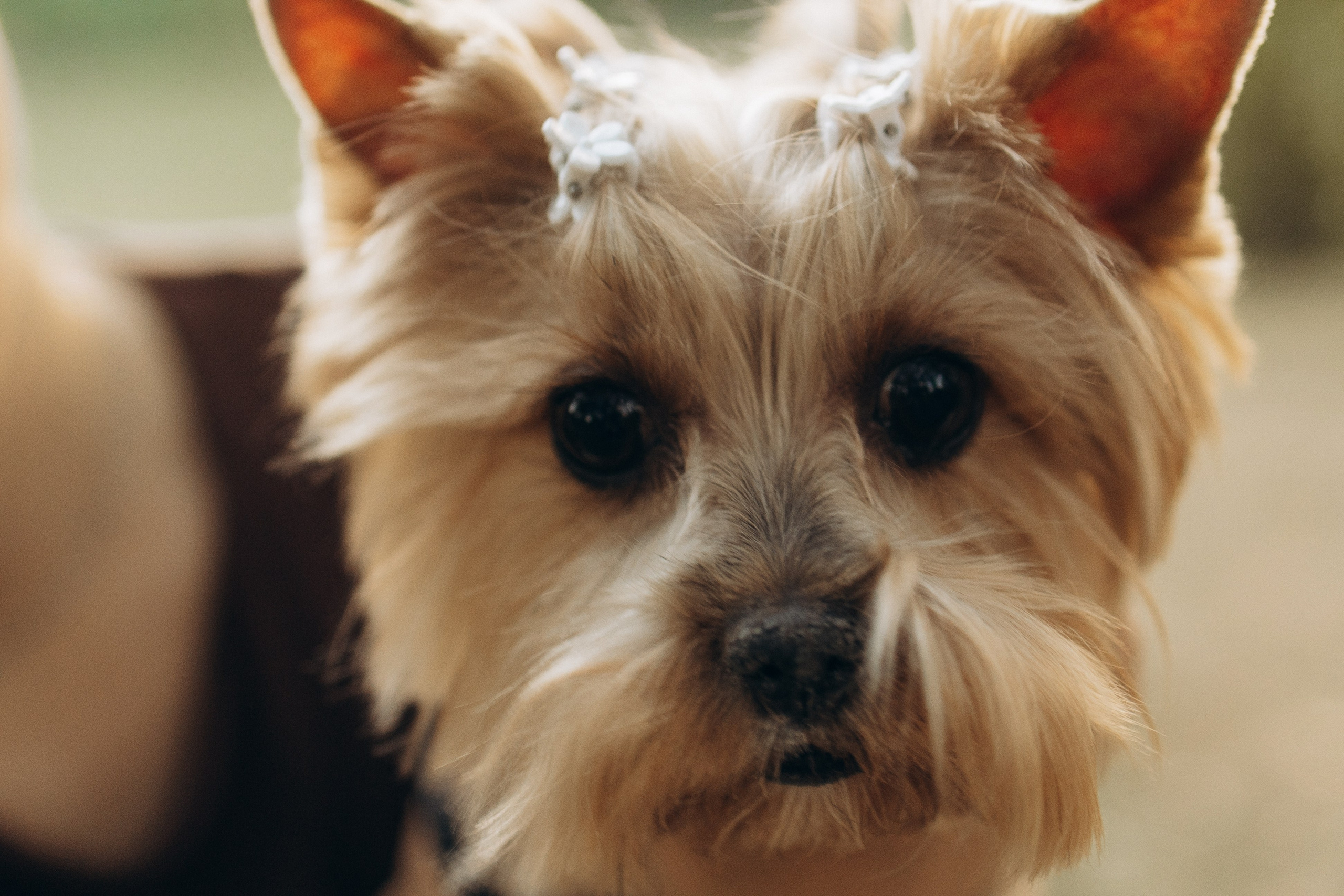 Влад и Ксюша. Самый теплый фотограф в Краснодаре Рябоконь Ксения