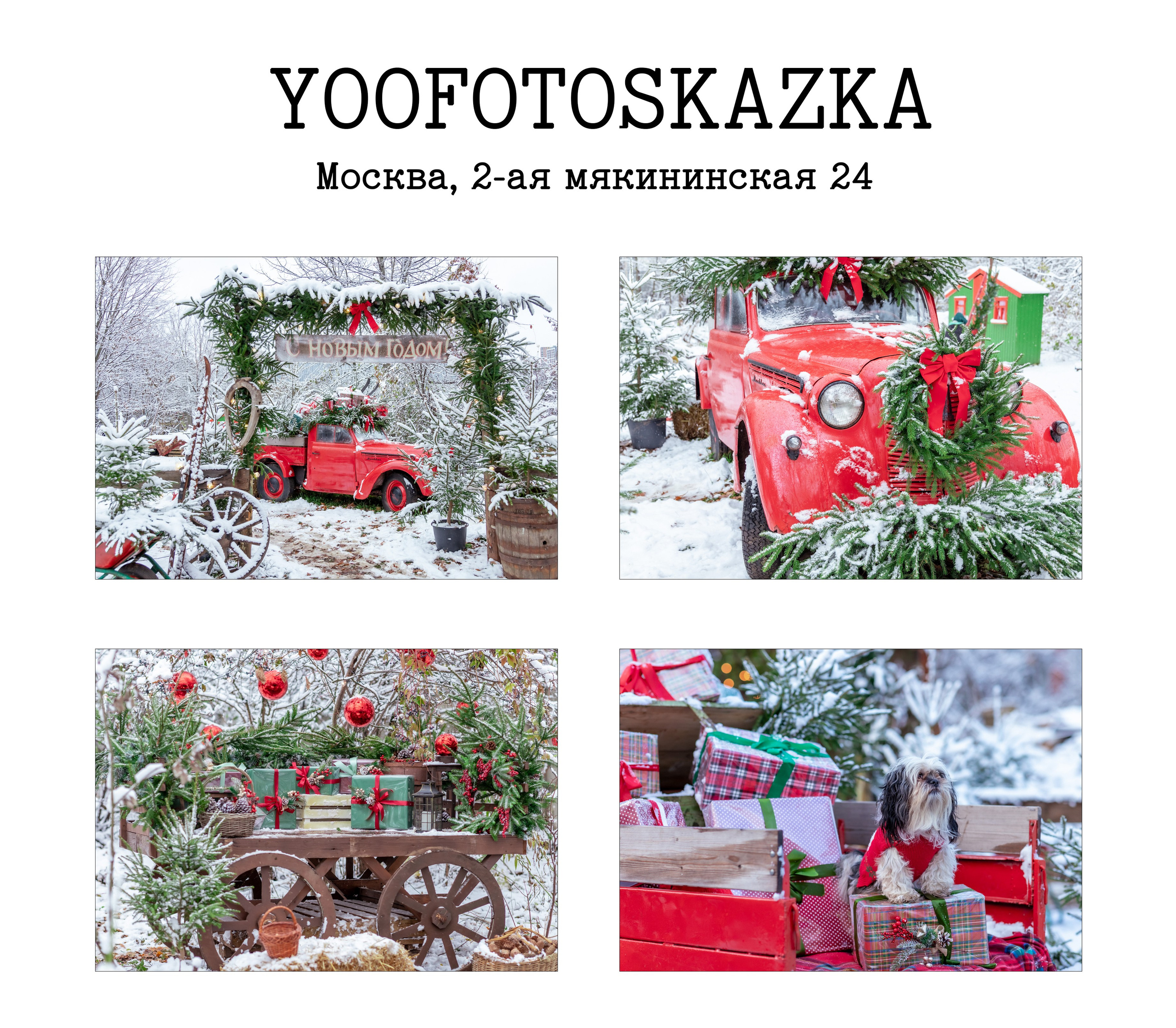 🎄 НОВЫЙ ГОД 🎄. Фотограф Алина Лебедь