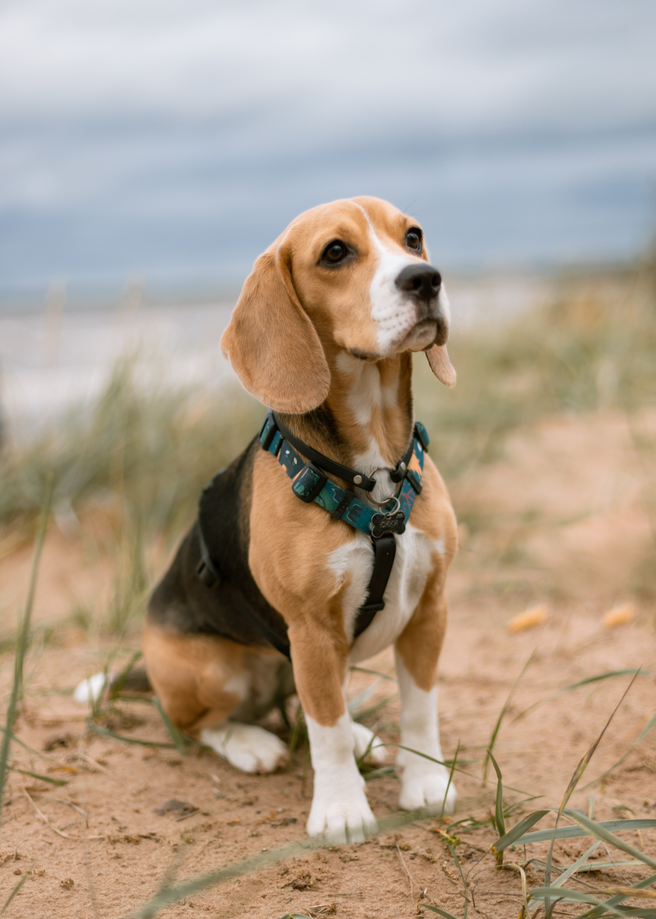 Екатерина и Юкки. Утонченный фотограф в Санкт-Петербурге Ксения Пелевина
