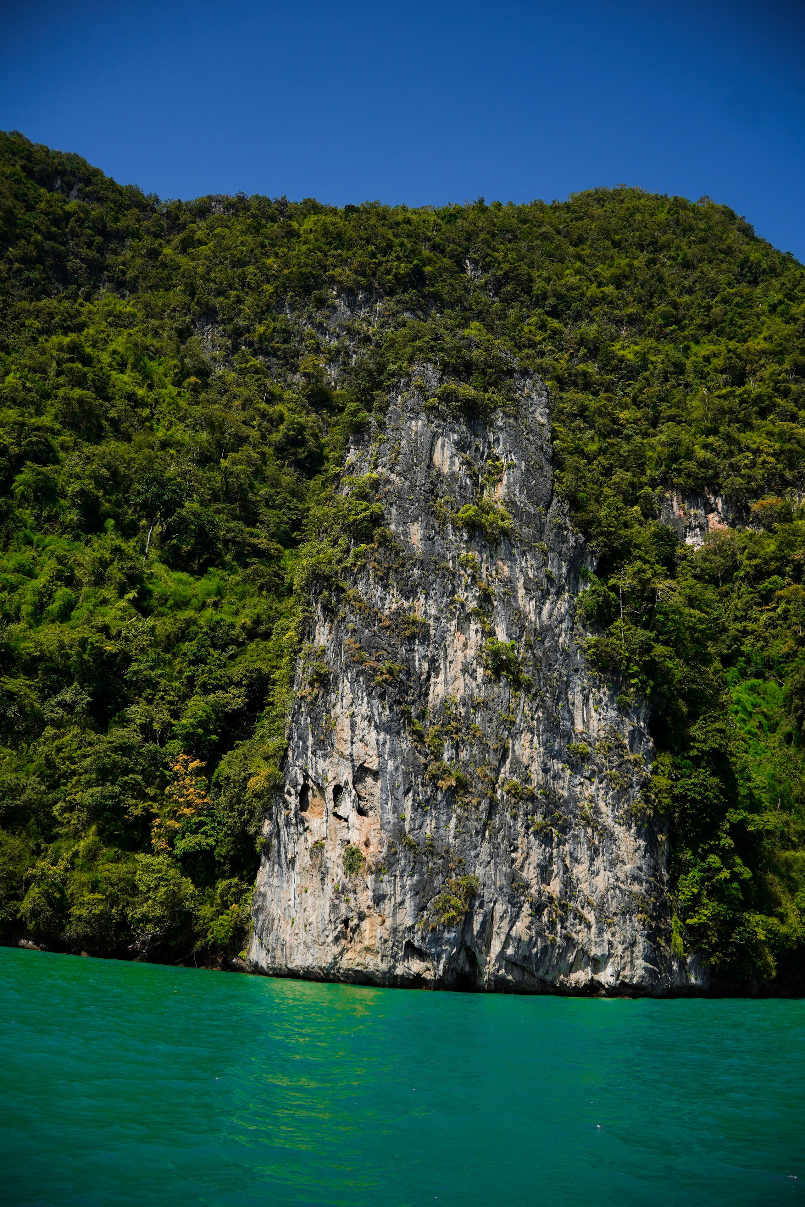 Архитектура и природа. Главная