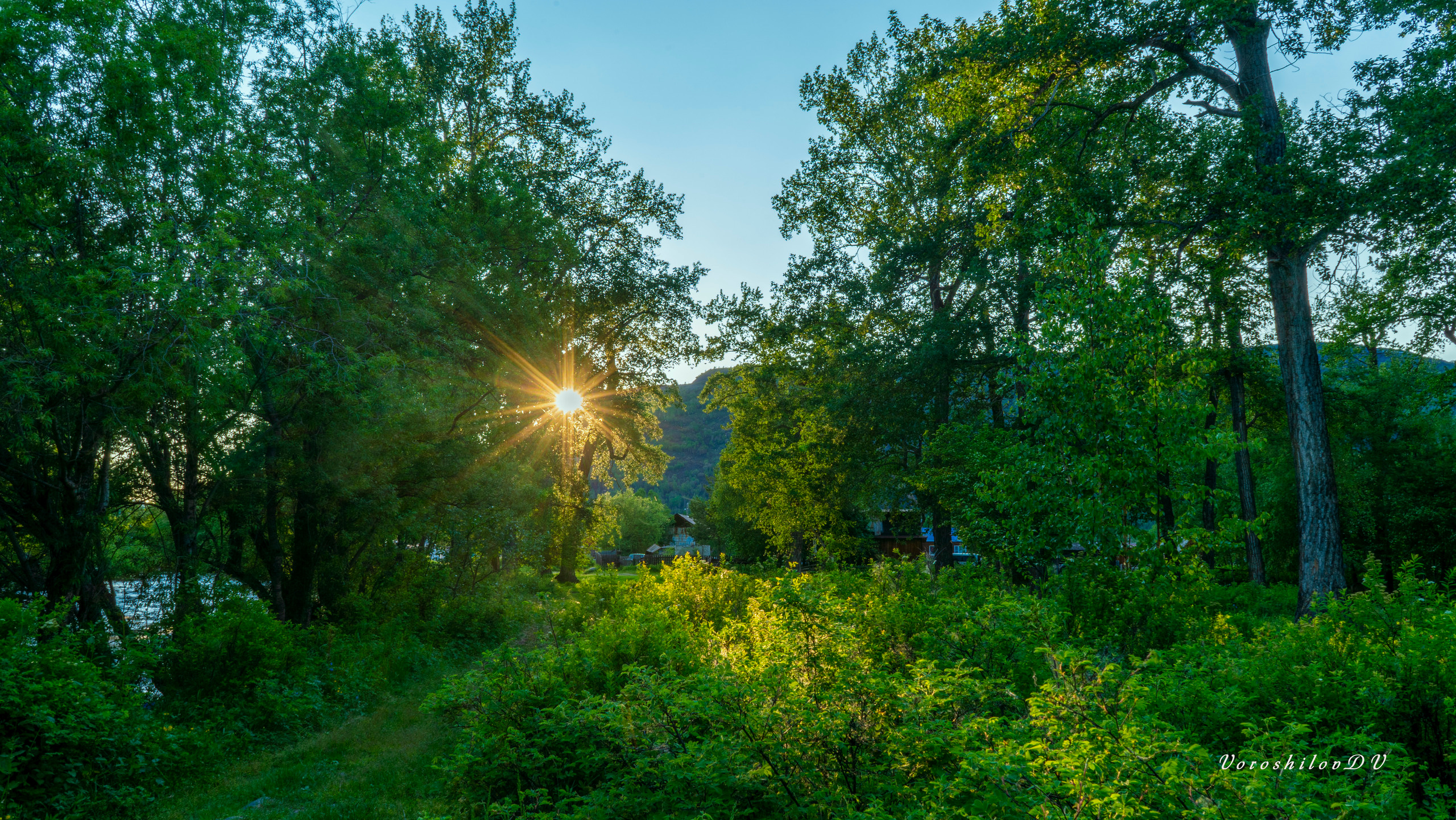 Лето. Фотограф Ворошилов Дмитрий. Эссо. Камчатка