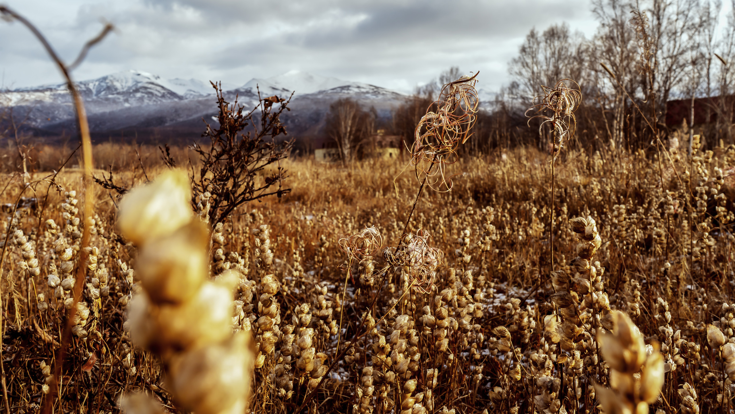 Осень. Фотограф Ворошилов Дмитрий. Эссо. Камчатка