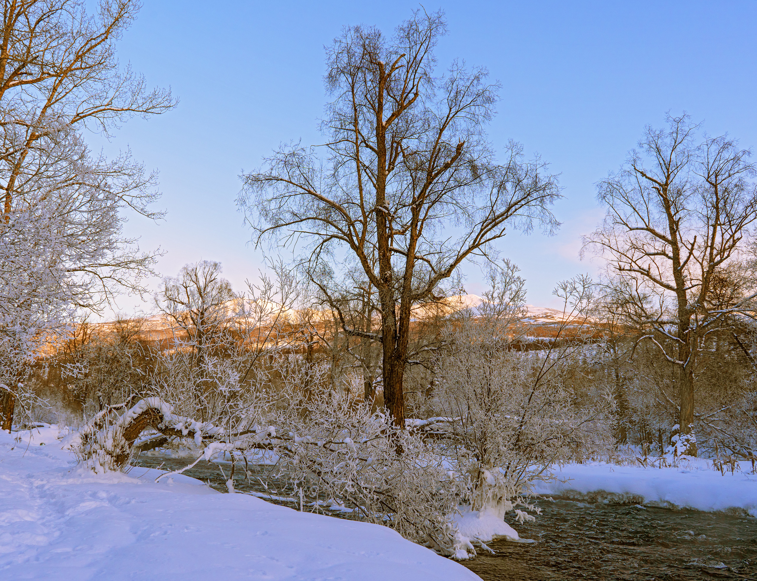 Эссо фото. Фотограф Ворошилов Дмитрий. Эссо. Камчатка