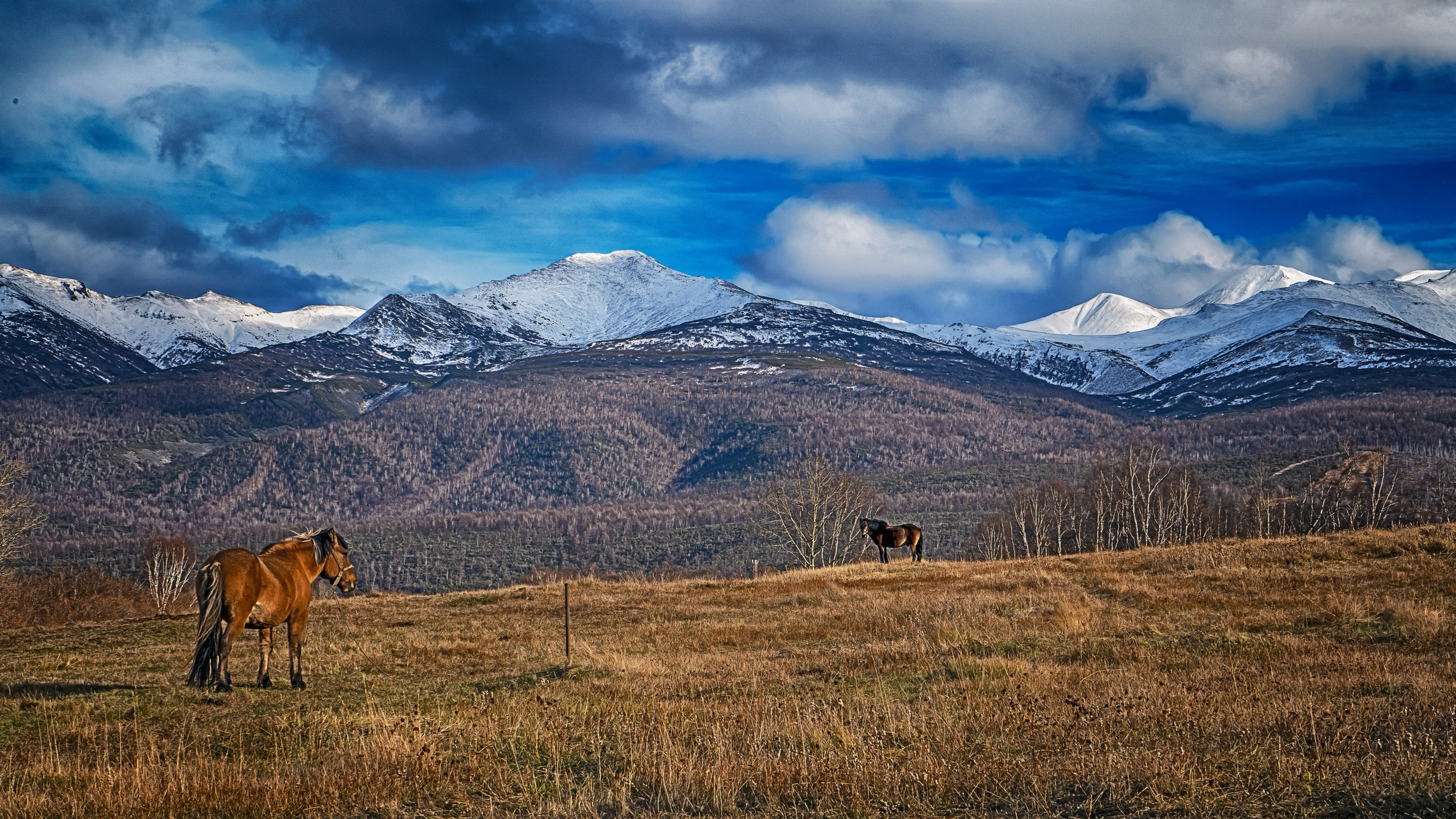 Осень. Фотограф Ворошилов Дмитрий. Эссо. Камчатка