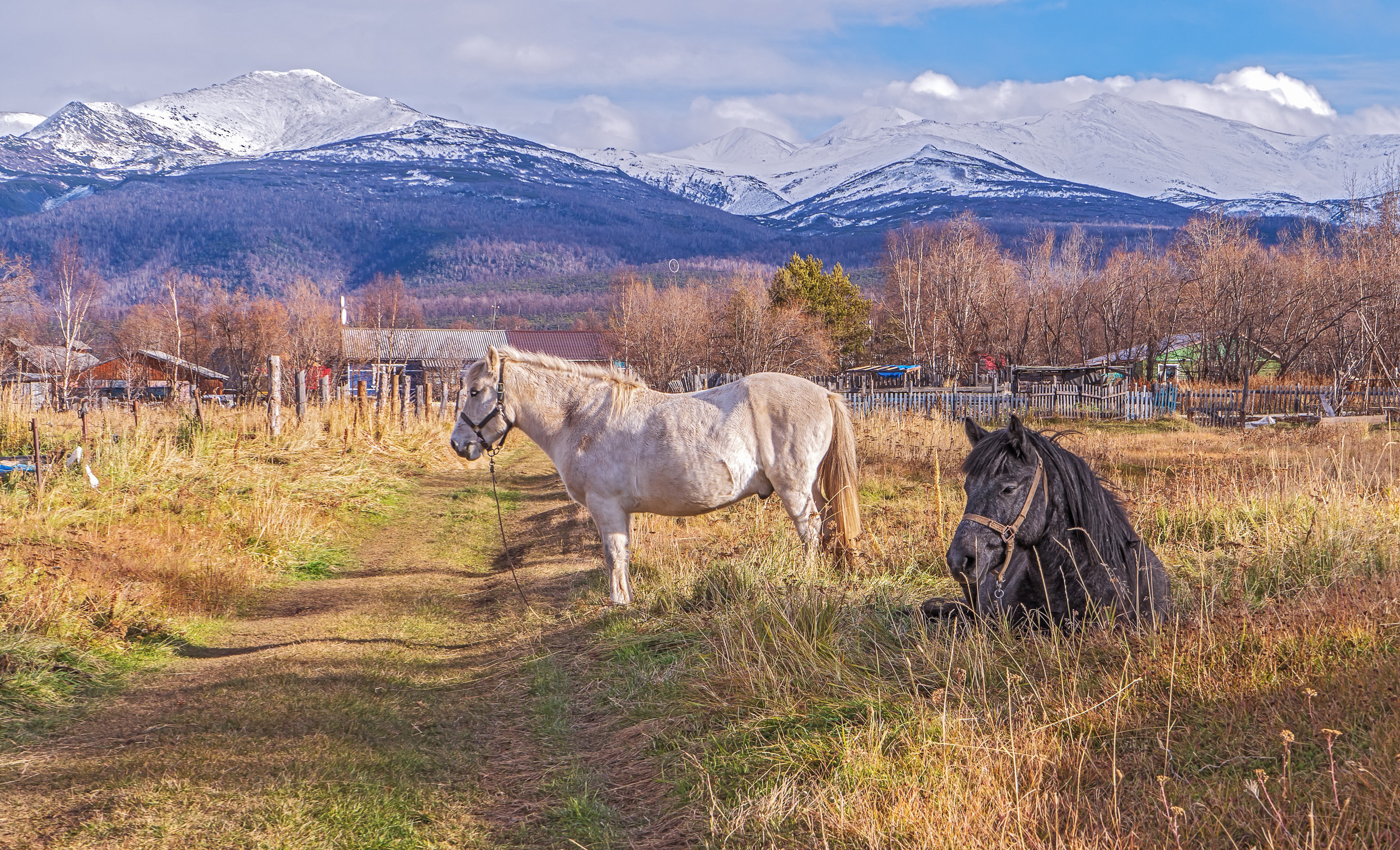 Осень. Фотограф Ворошилов Дмитрий. Эссо. Камчатка