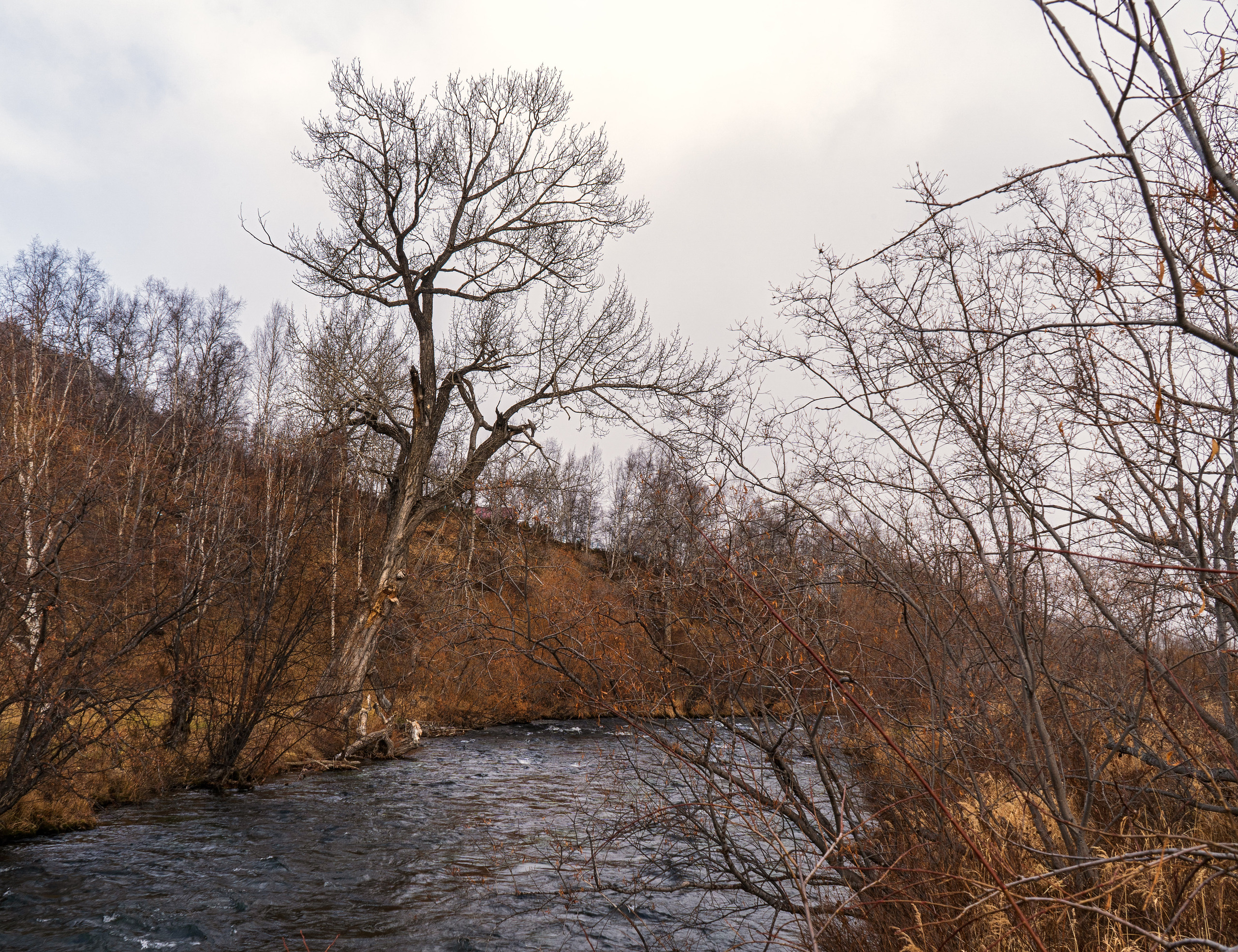 Осень. Фотограф Ворошилов Дмитрий. Эссо. Камчатка