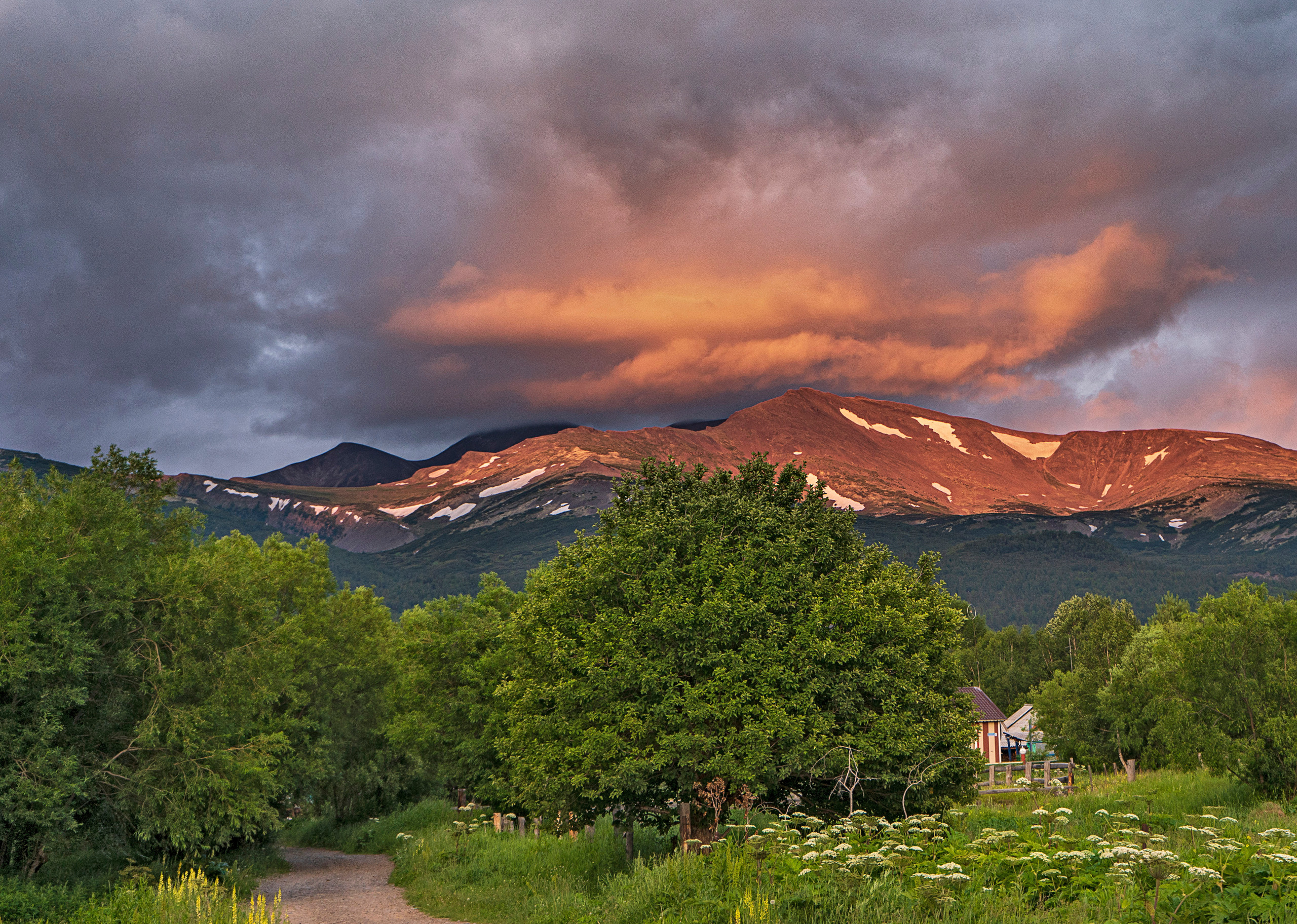 Лето. Фотограф Ворошилов Дмитрий. Эссо. Камчатка