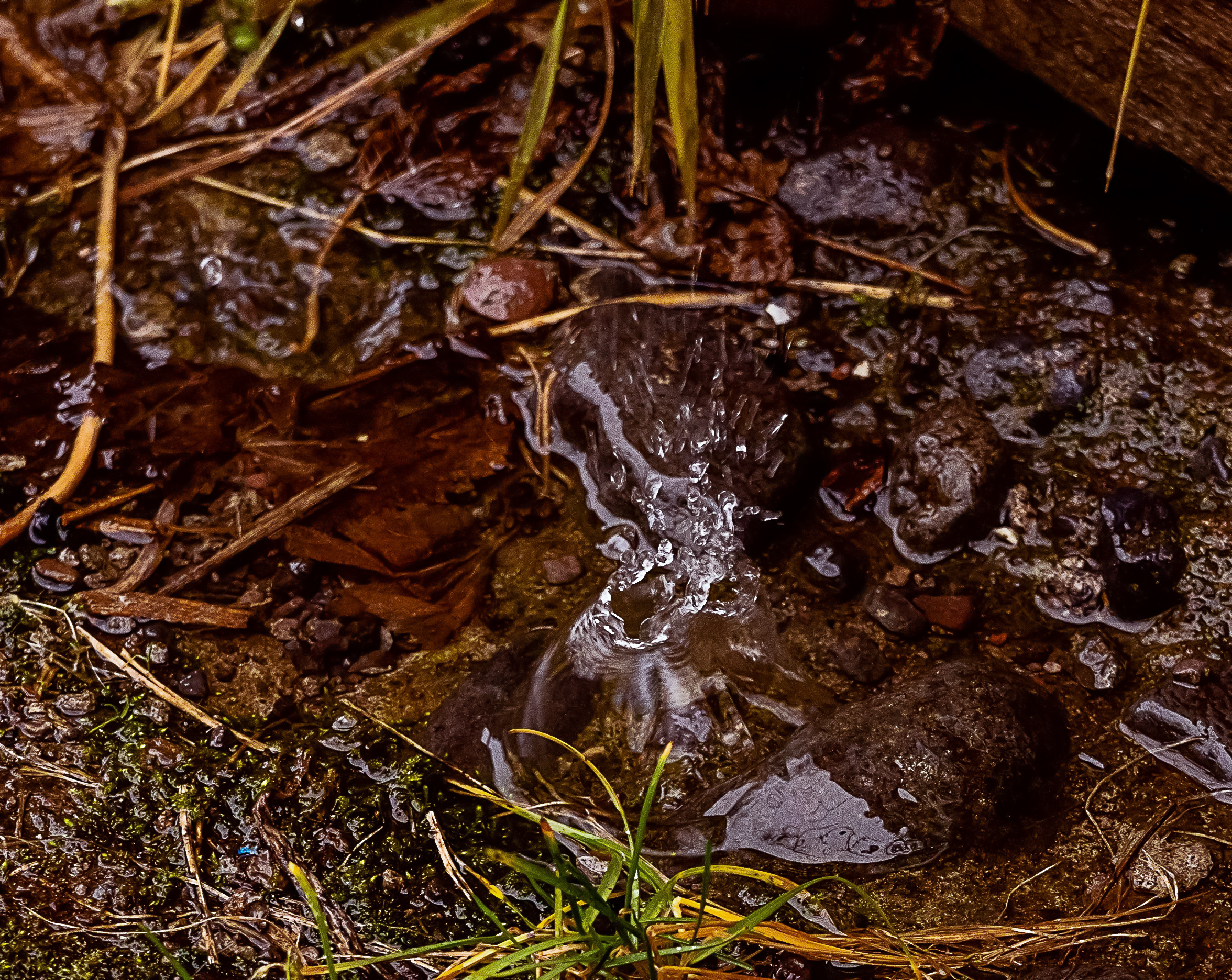 Осень. Фотограф Ворошилов Дмитрий. Эссо. Камчатка
