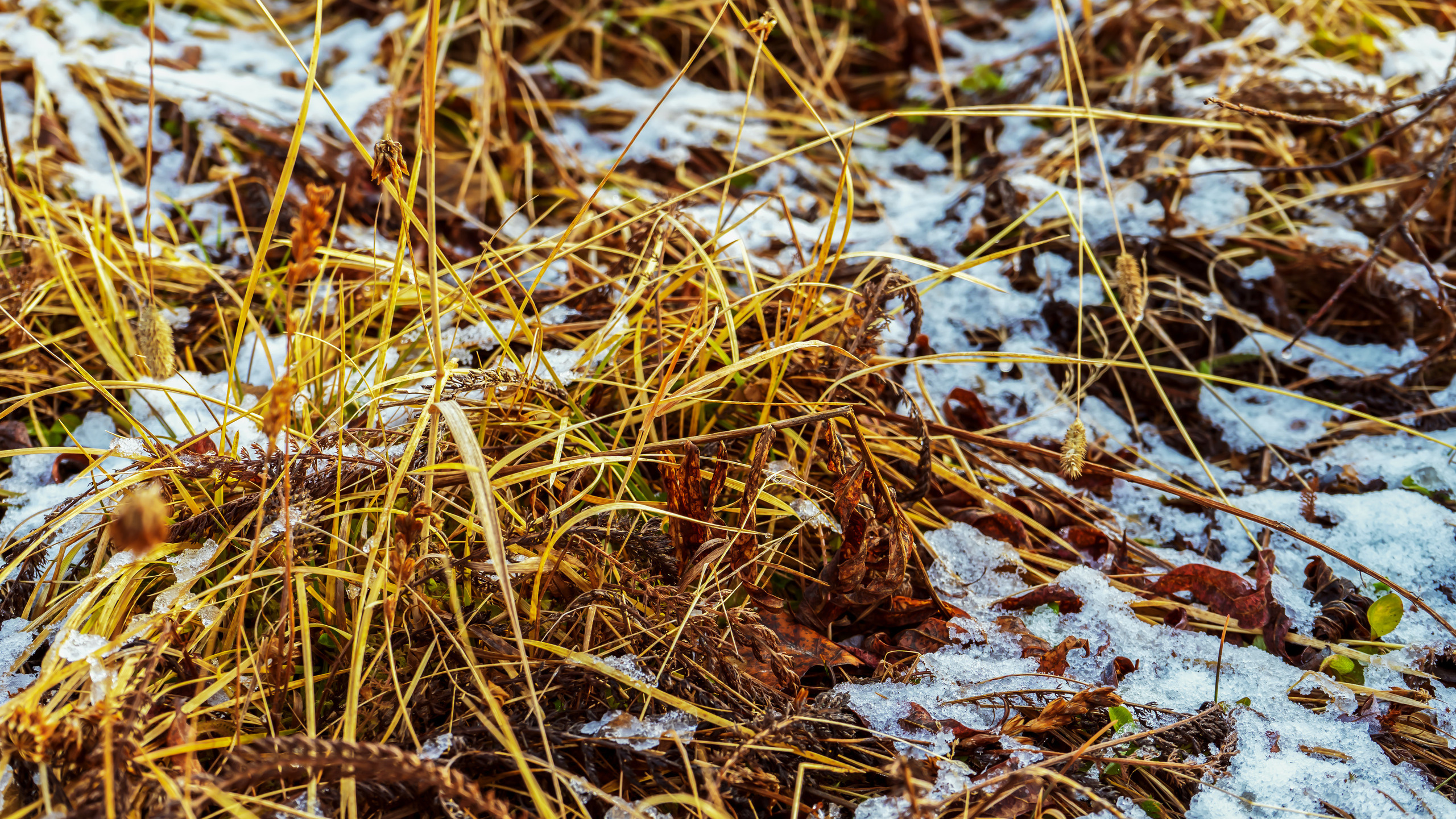 Осень. Фотограф Ворошилов Дмитрий. Эссо. Камчатка