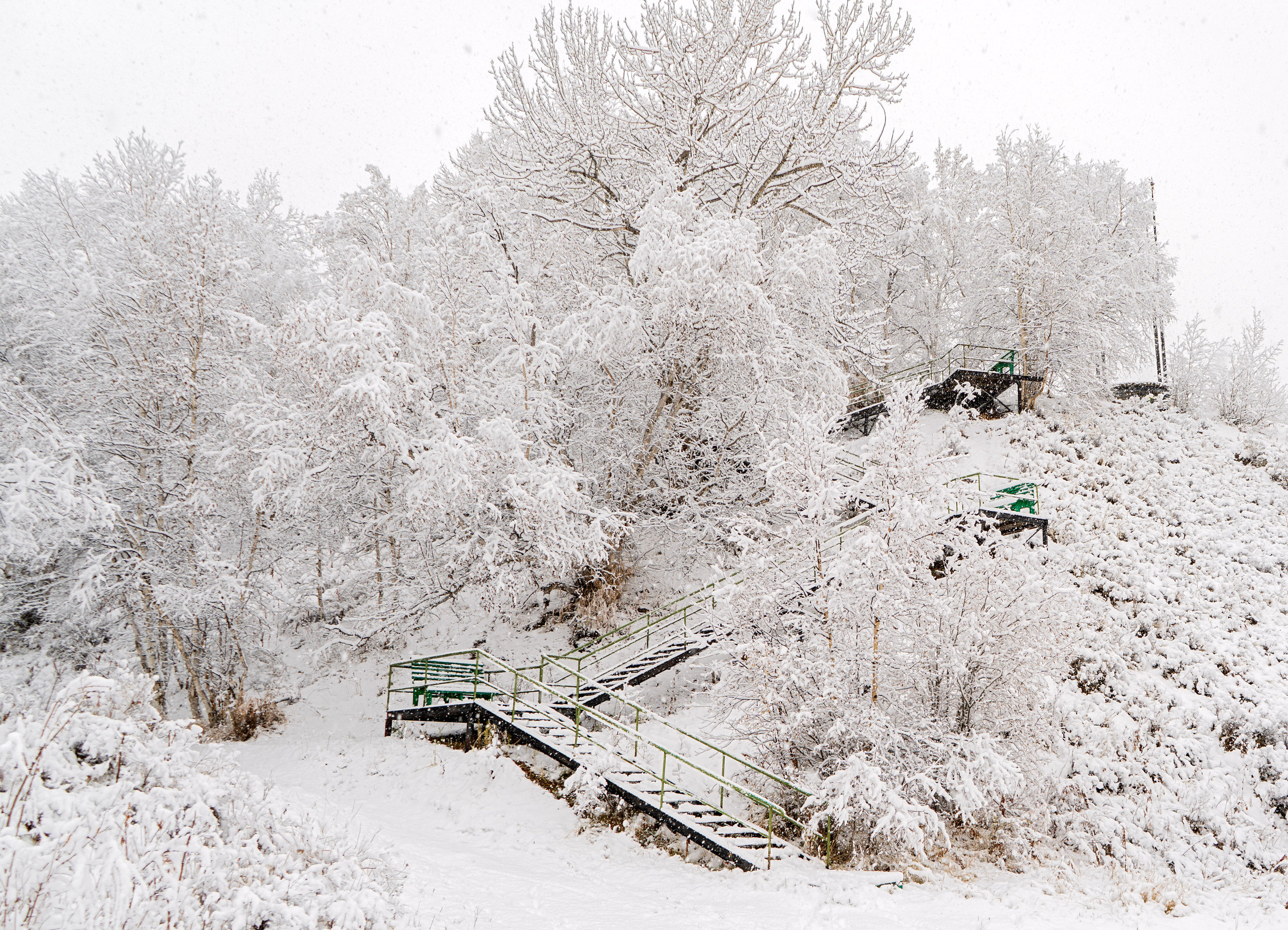 эссо фотокамчатка фото