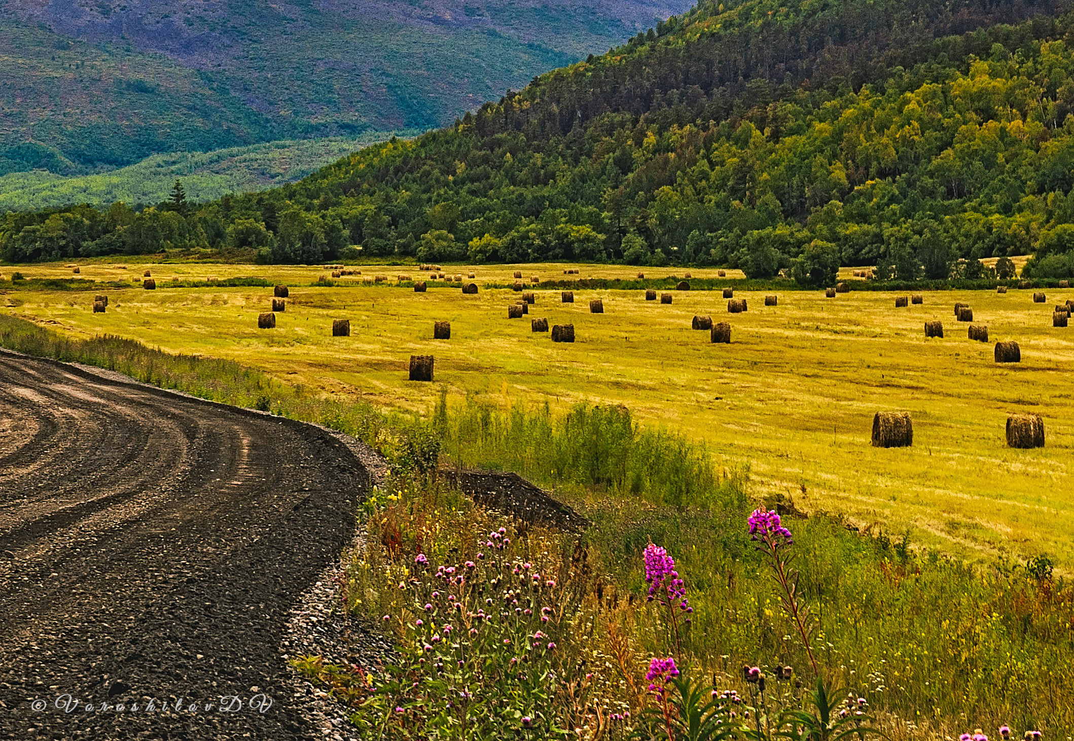 Лето. Фотограф Ворошилов Дмитрий. Эссо. Камчатка