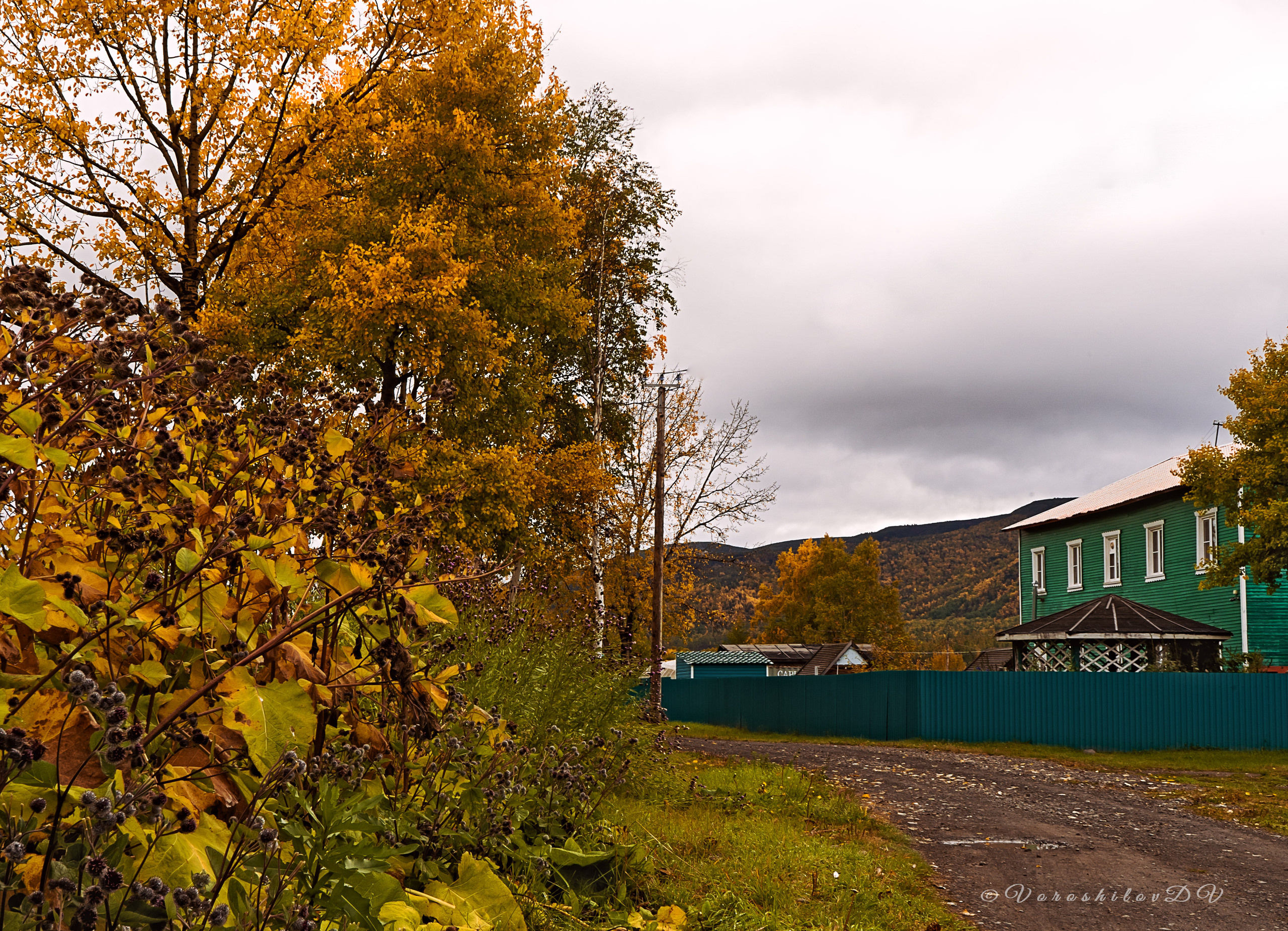 Осень. Фотограф Ворошилов Дмитрий. Эссо. Камчатка