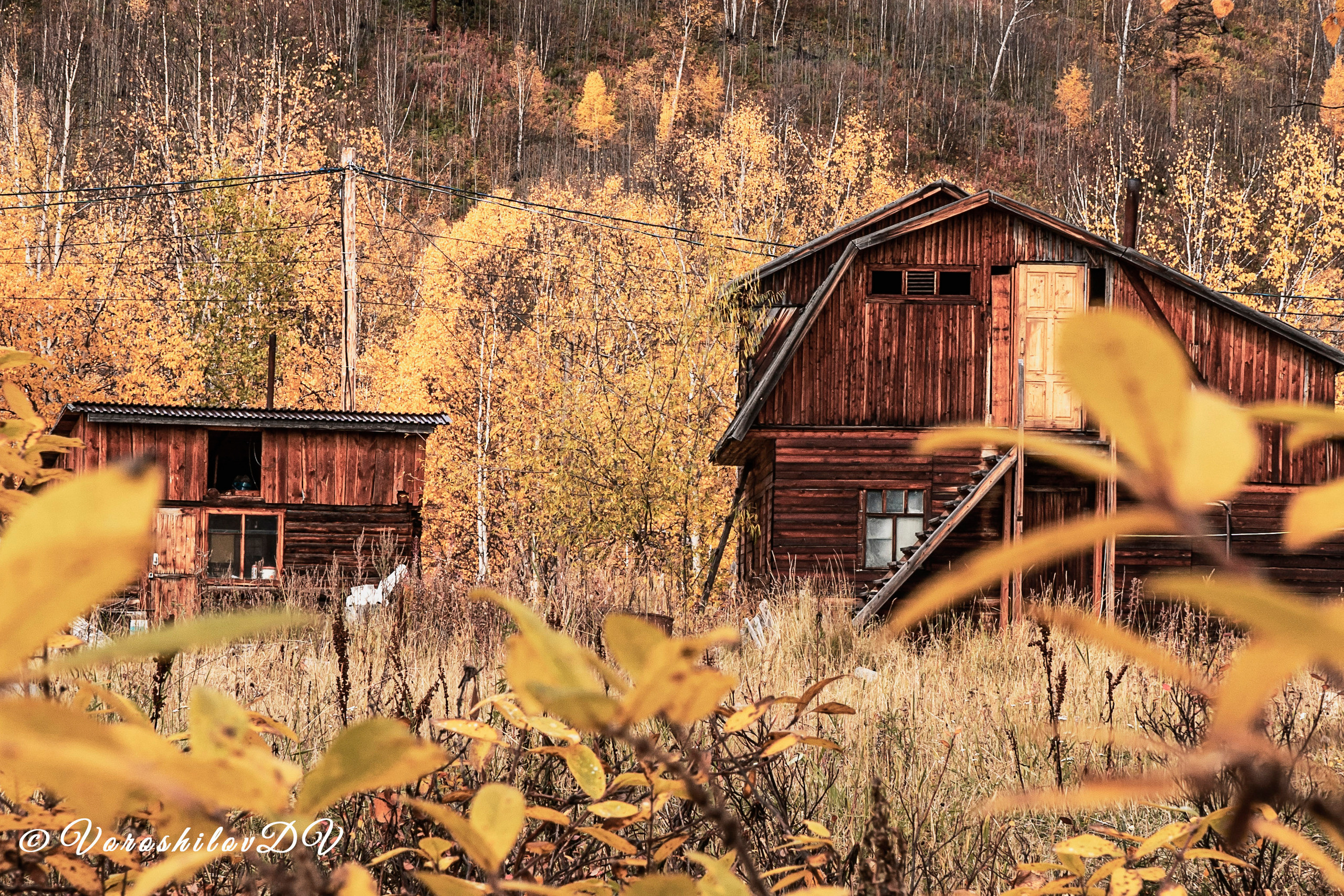 Осень. Фотограф Ворошилов Дмитрий. Эссо. Камчатка