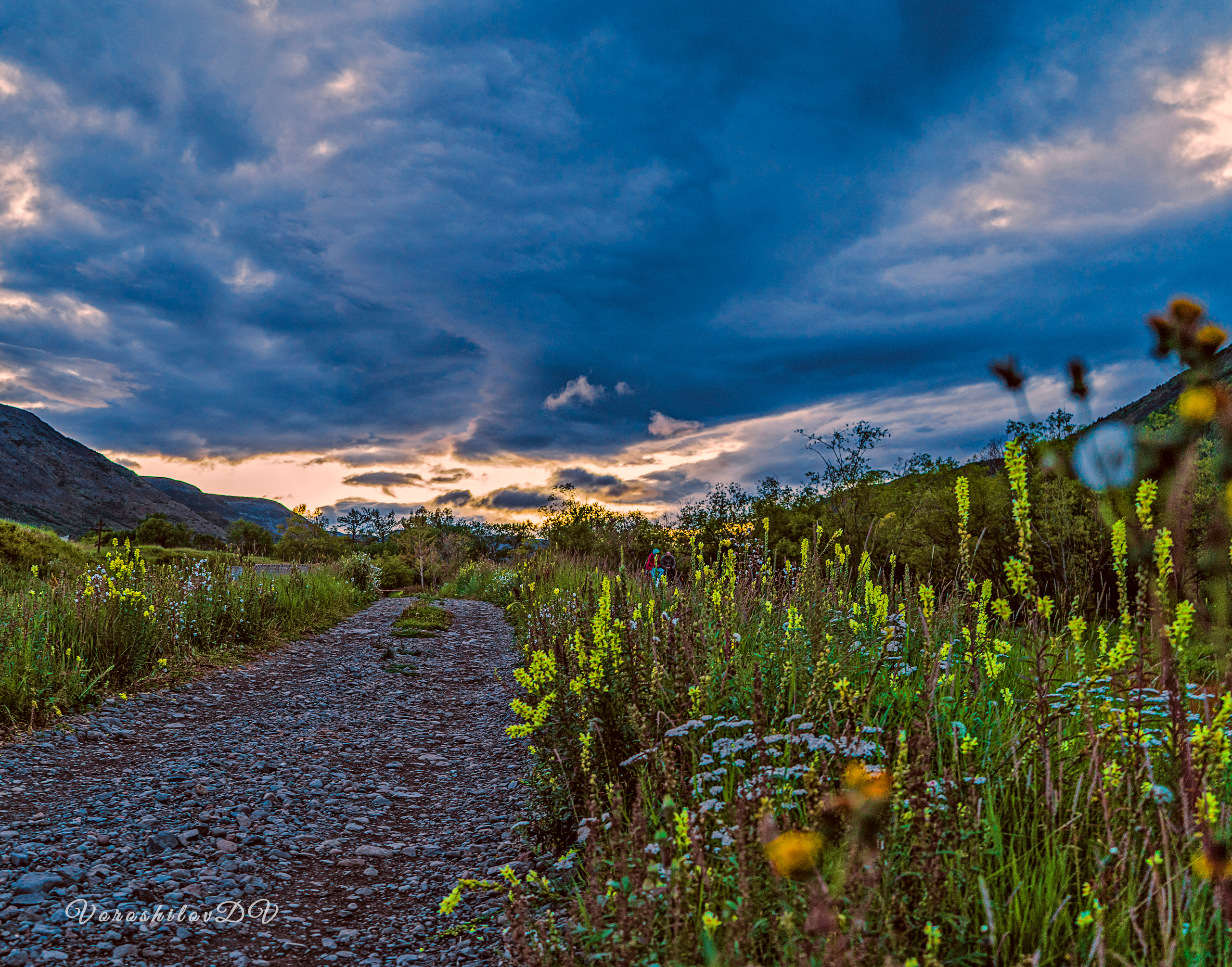 Лето. Фотограф Ворошилов Дмитрий. Эссо. Камчатка
