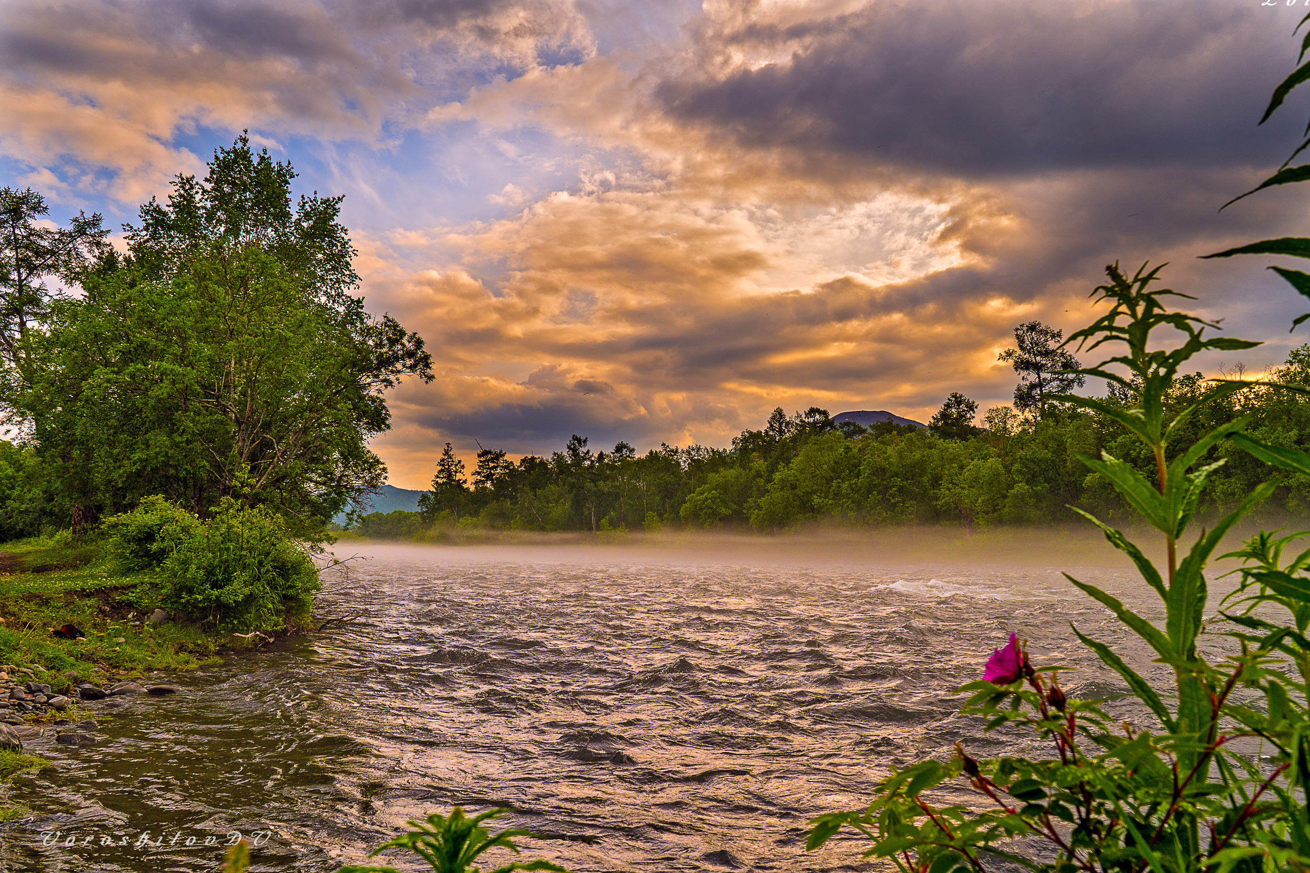 Лето. Фотограф Ворошилов Дмитрий. Эссо. Камчатка