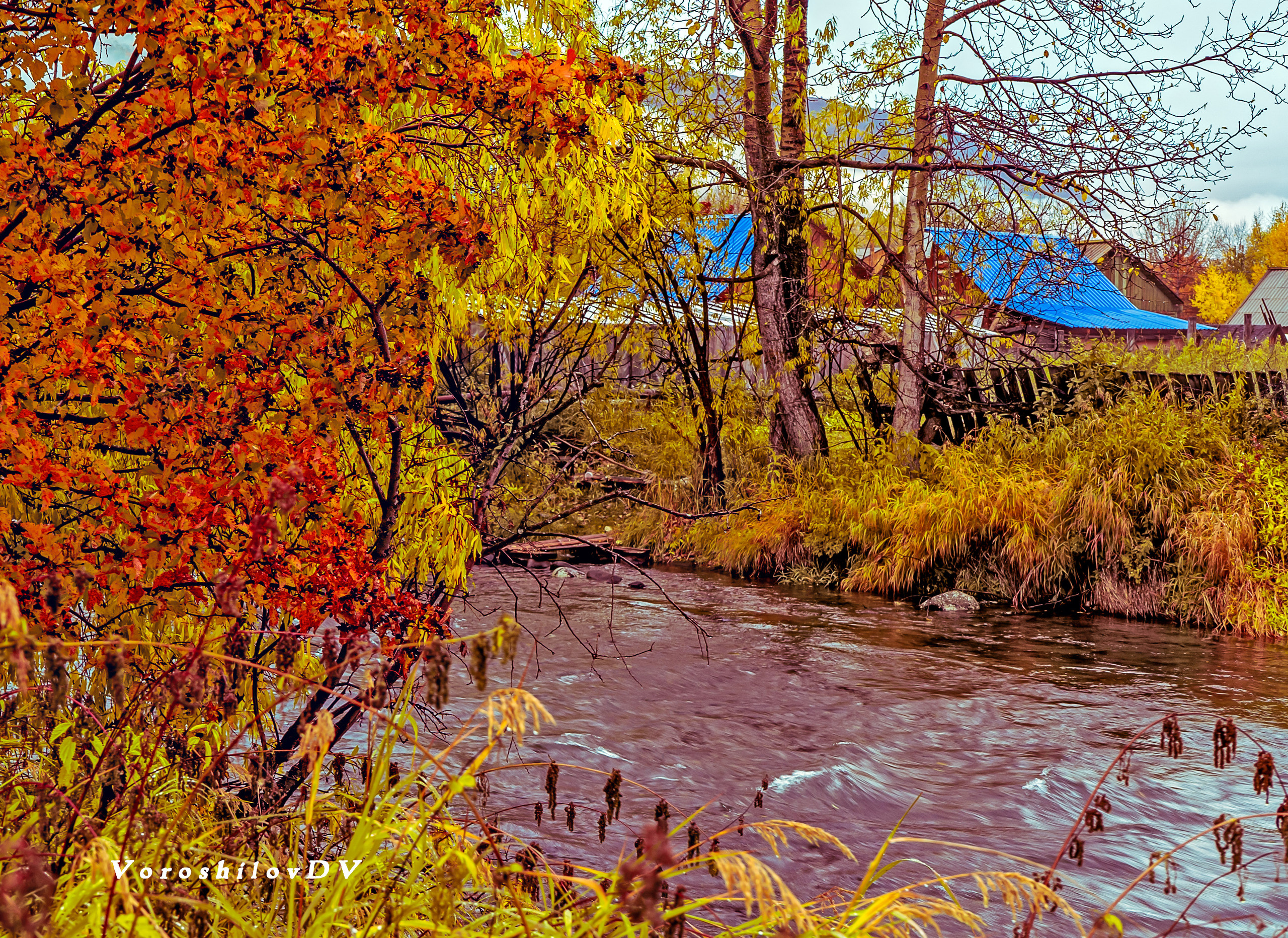 Осень. Фотограф Ворошилов Дмитрий. Эссо. Камчатка